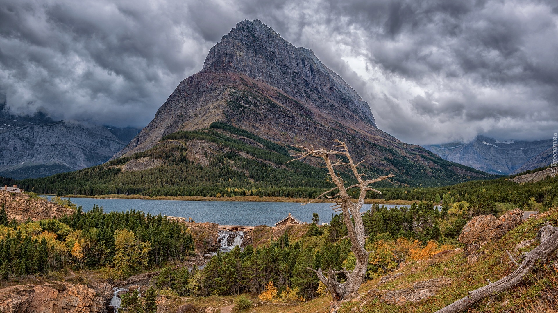 Góry, Jezioro, Swiftcurrent Lake, Suche, Drzewo, Park Narodowy Glacier, Montana, Stany Zjednoczone