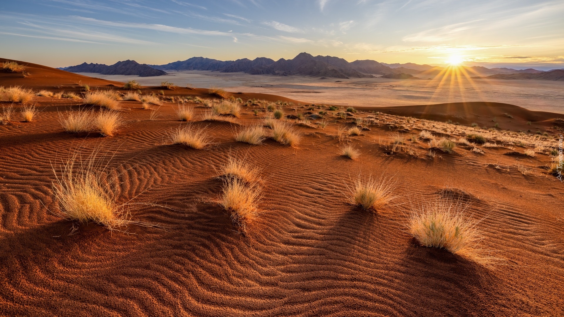 Afryka, Namibia, Pustynia Namib, Wydmy, Trawy, Promienie słońca