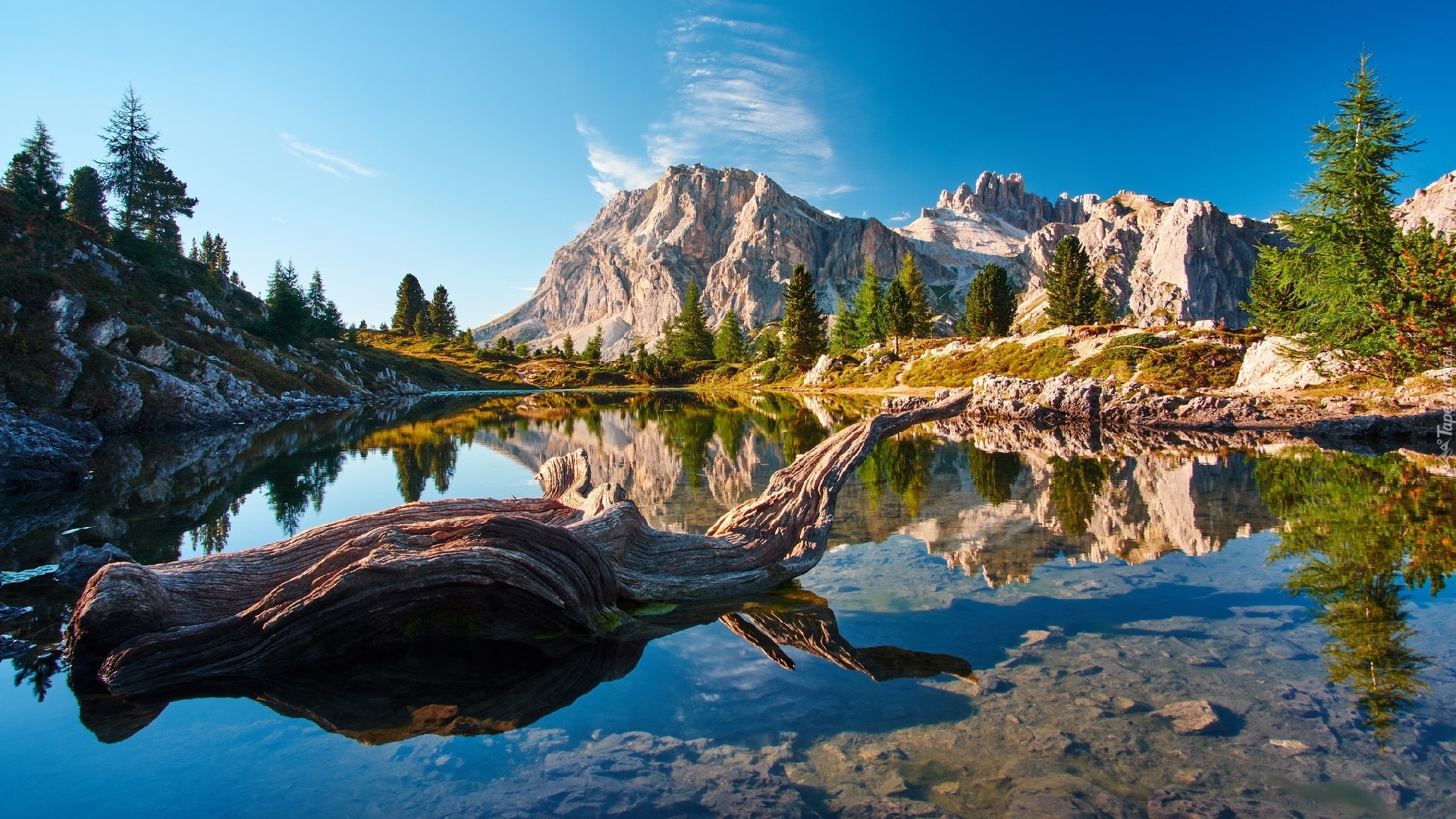 Włochy, Tyrol, Góry, Dolomity, Jezioro, Lago Limides, Drzewa, Suchy, Konar, Odbicie