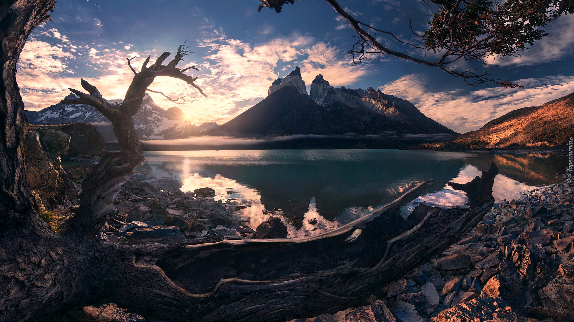 Park Narodowy Torres del Paine, Suchy, Konar, Jezioro Pehoe, Góry, Cordillera del Paine, Masyw, Torres del Paine, Wschód słońca, Patagonia, Chile