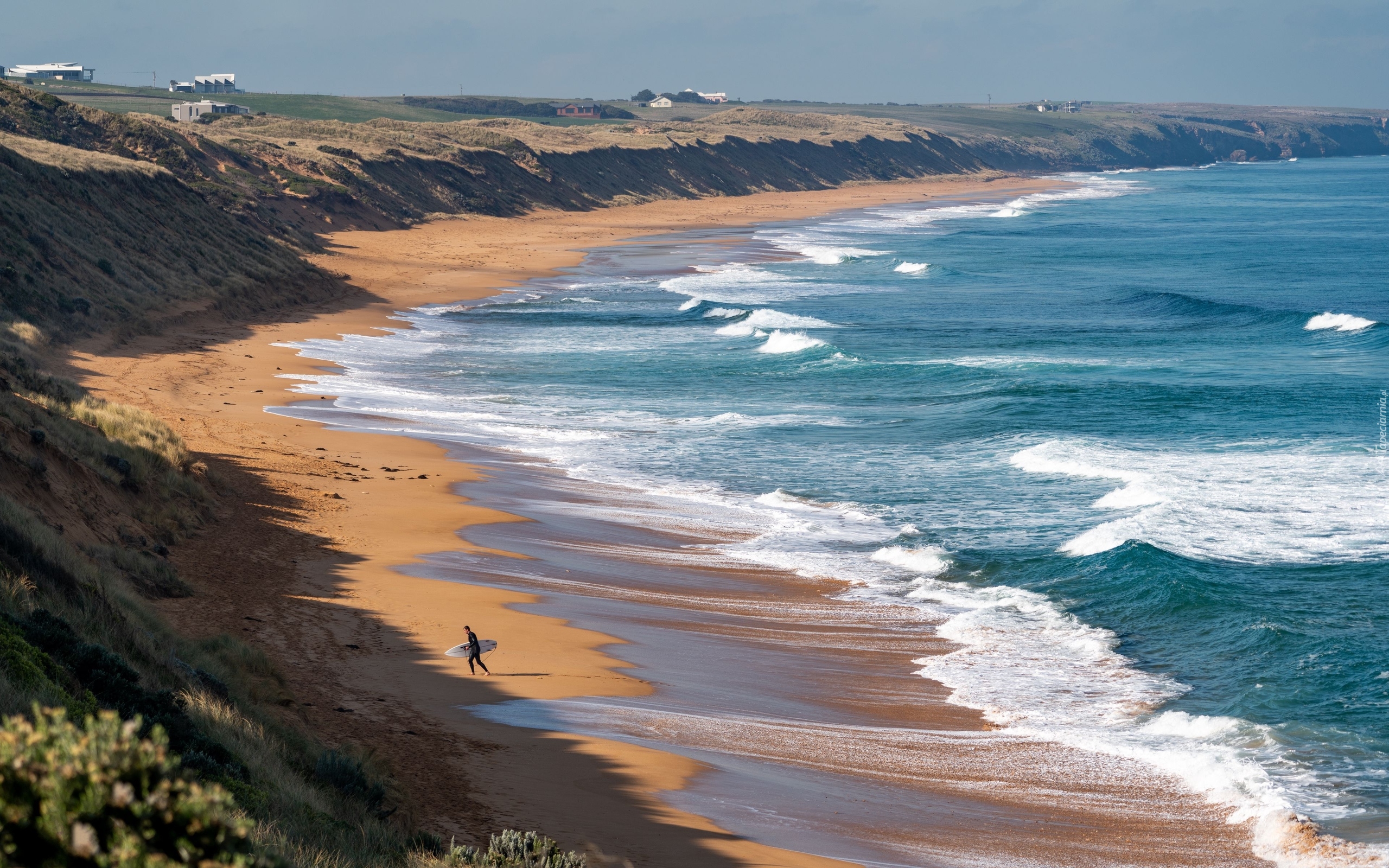 Wybrzeże, Plaża, Morze, Fale, Surfer