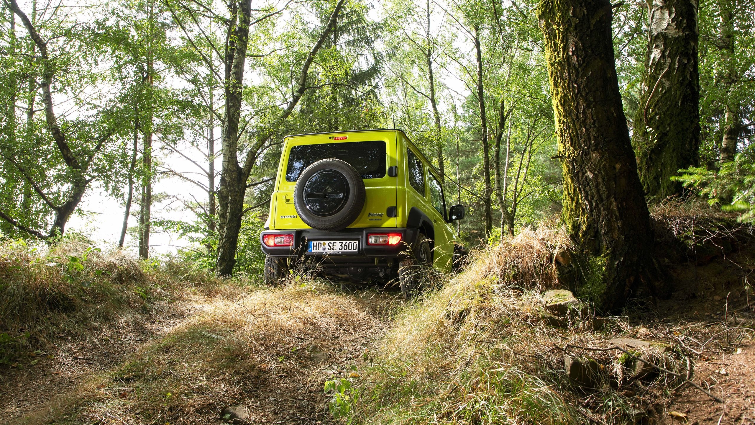 Suzuki Jimny, Tył, Drzewa