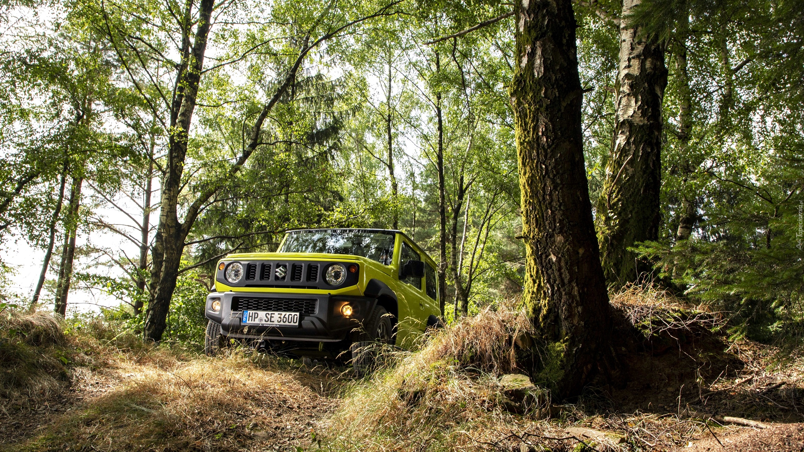 Suzuki Jimny, Przód, Las