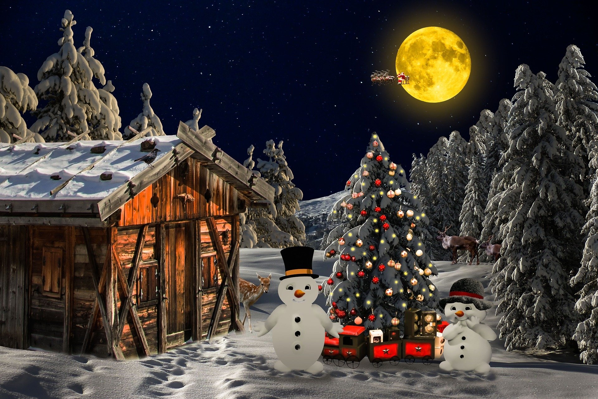 Zima, Śnieg, Świąteczne, Drzewa, Domek, Choinka, Bałwanki, Księżyc, Noc, Boże Narodzenie, 2D