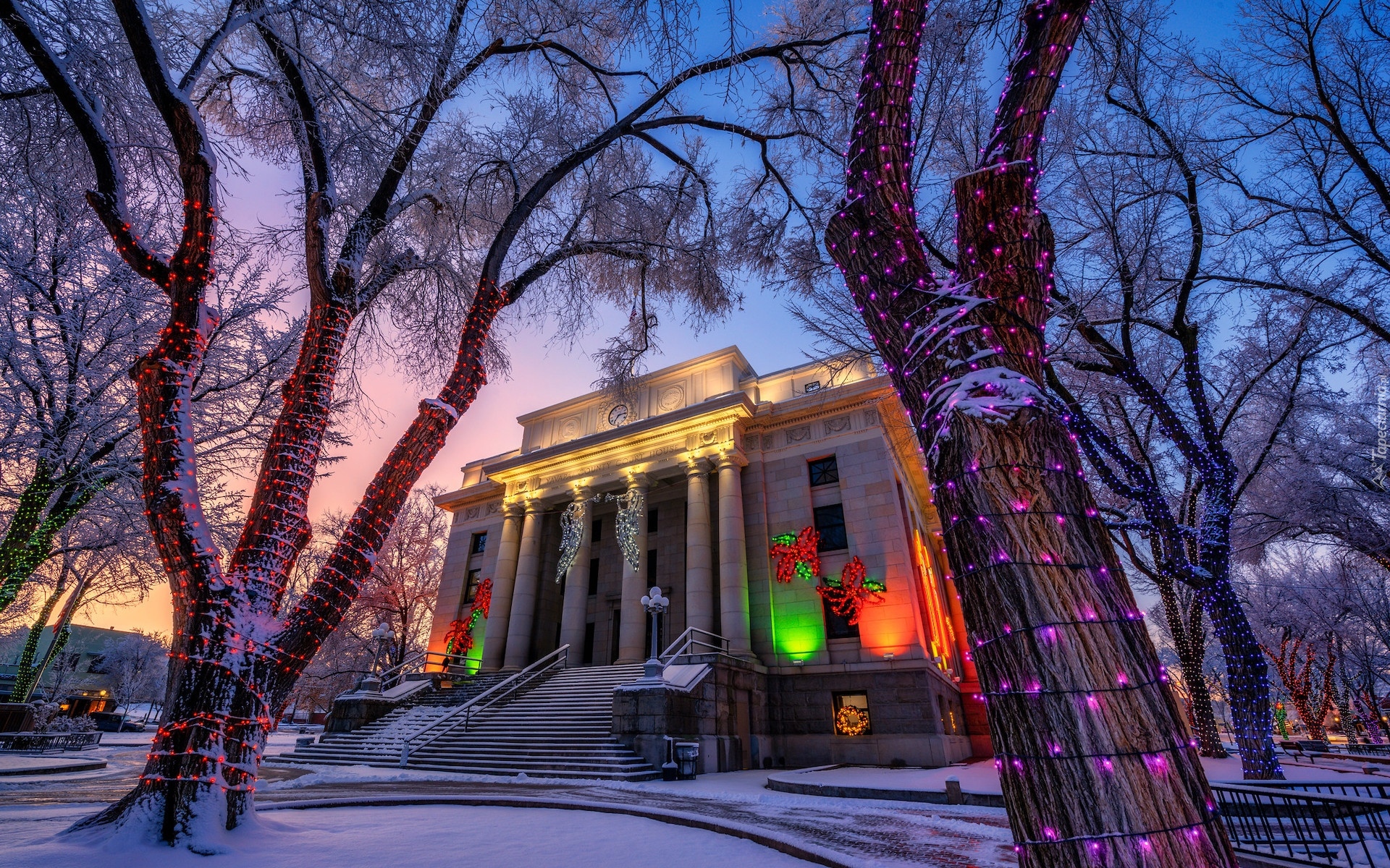 Stany Zjednoczone, Arizona, Prescott, Dom, Courthouse, Drzewa, Zima