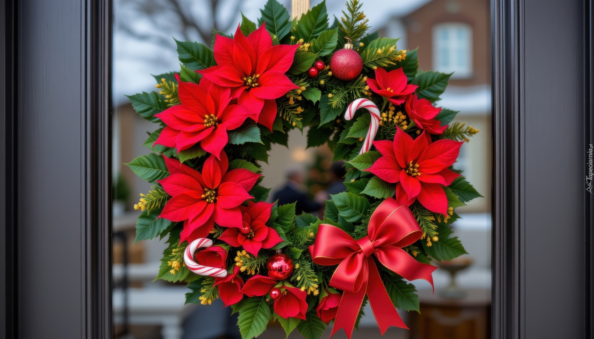 Boże Narodzenie, Wianek, Kwiaty, Gwiazda betlejemska, Bombki, Drzwi