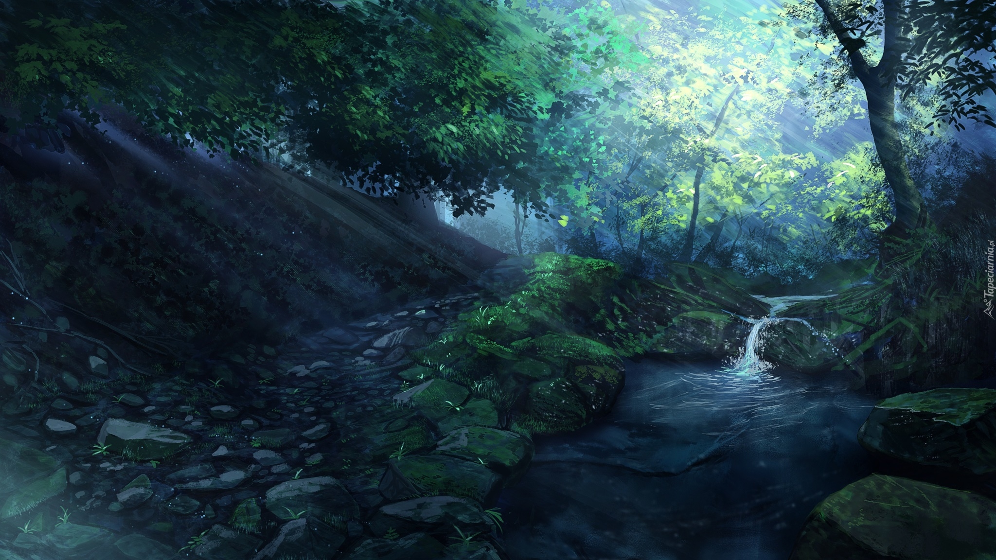 Rzeka, Kamienie, Las, Drzewa, Przebijające światło, Paintography