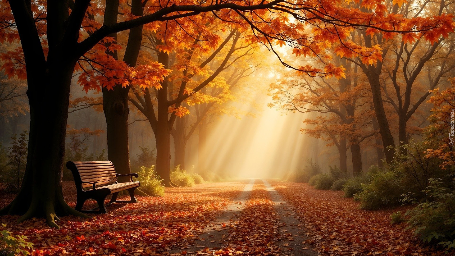 Jesień, Park, Drzewa, Ławka, Opadłe, Liście, Przebijające światło