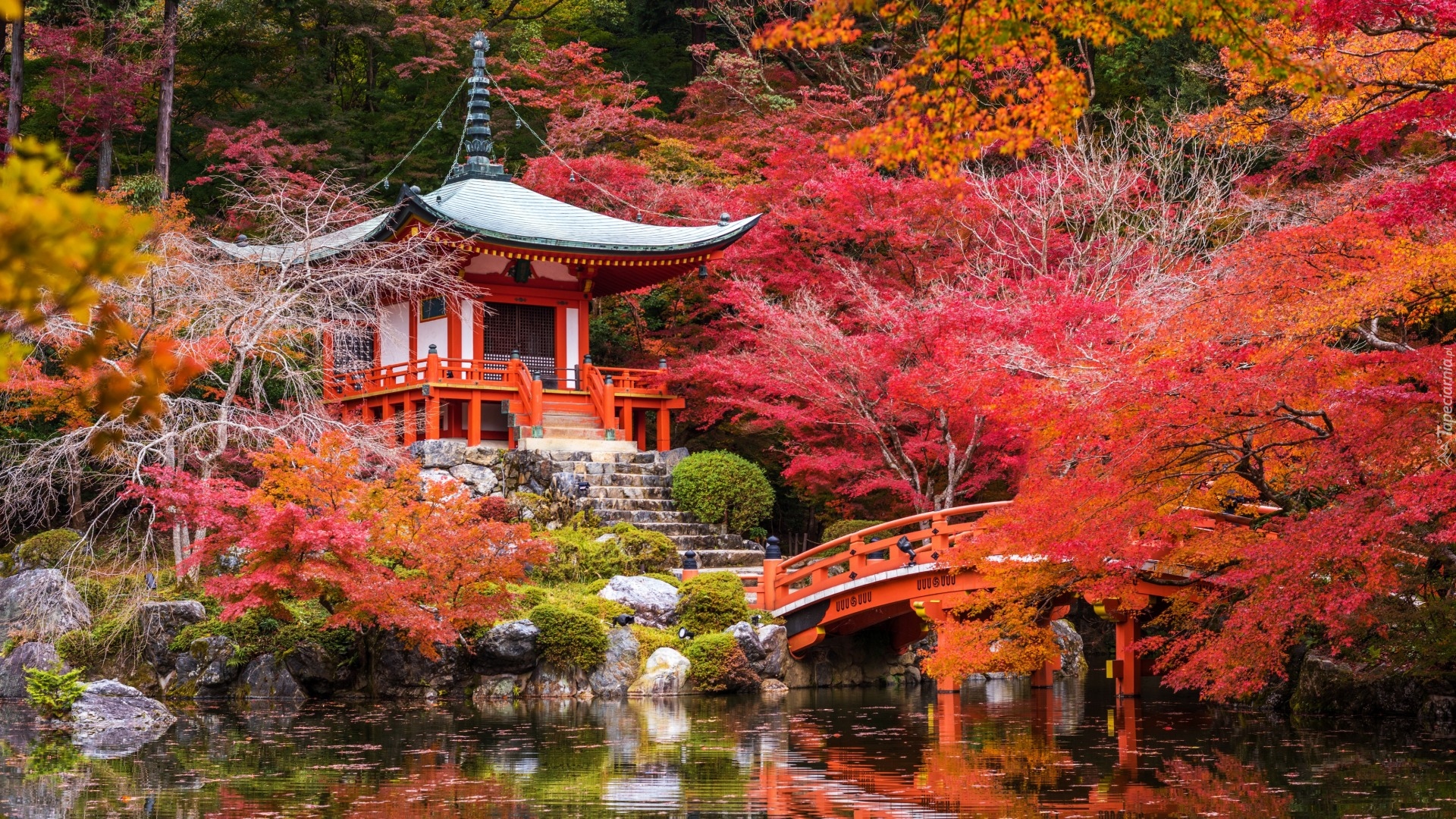 Japonia, Kioto, Kompleks świątynny Daigo-ji, Świątynia Benten-dō, Mostek, Staw, Jesień, Drzewa  Kamienie