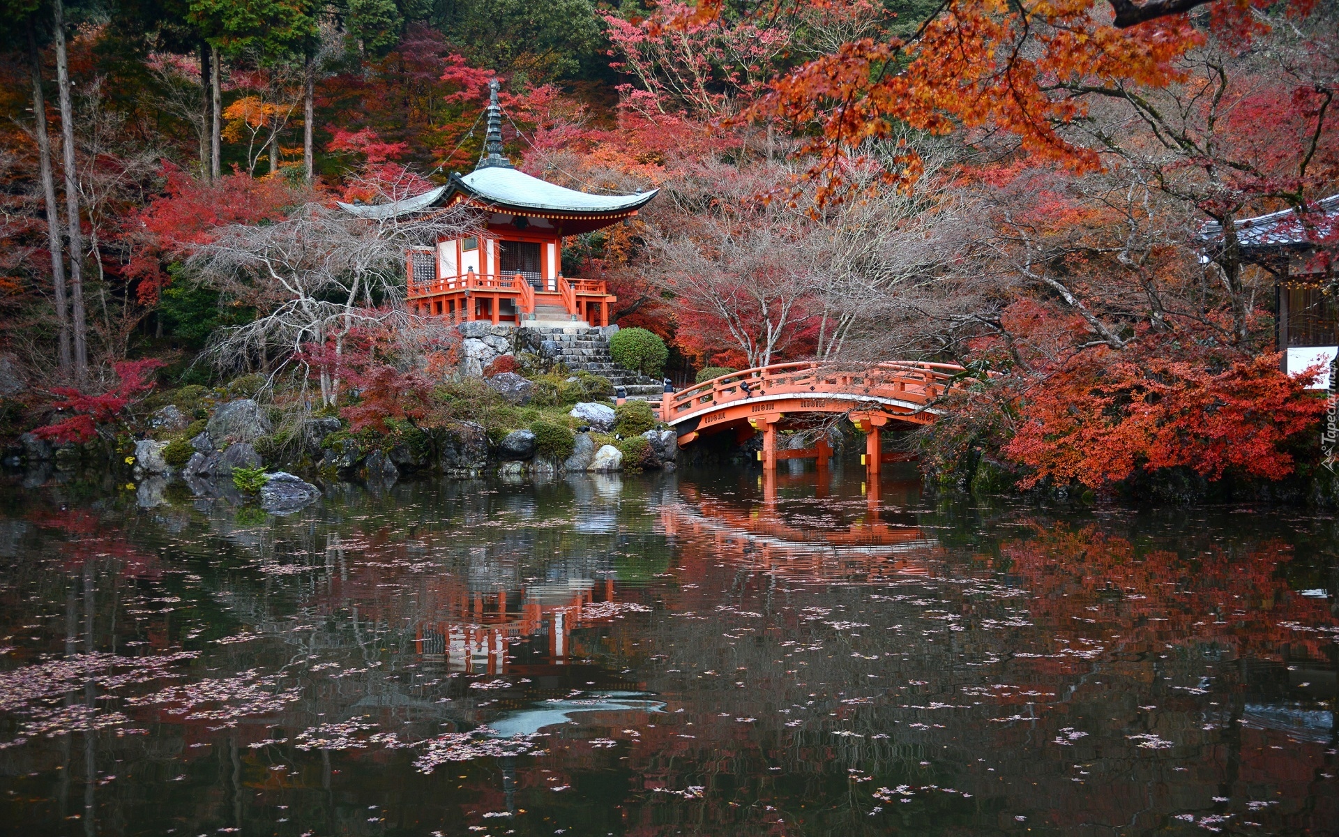 Kompleks świątynny Daigo-ji, Świątynia Benten-do, Mostek, Staw, Jesień, Drzewa, Kioto, Japonia