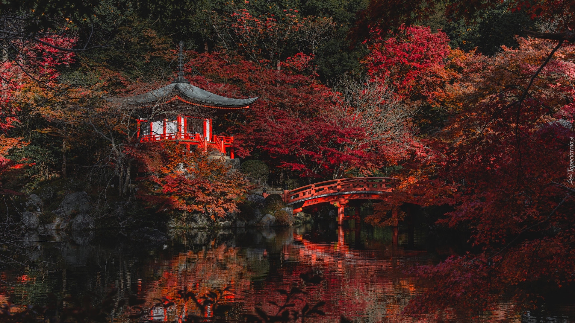 Japonia, Kioto, Świątynia, Bentendo Temple, Kompleks Daigo-ji, Drzewa, Mostek, Jesień, Odbicie