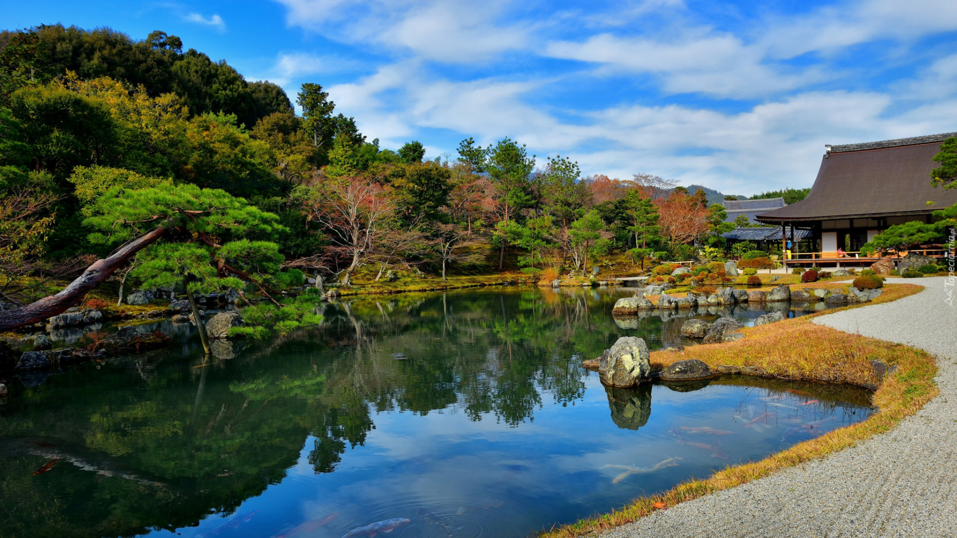 Staw, Ogród, Drzewa, Świątynia, Tenryu-ji, Kioto, Japonia