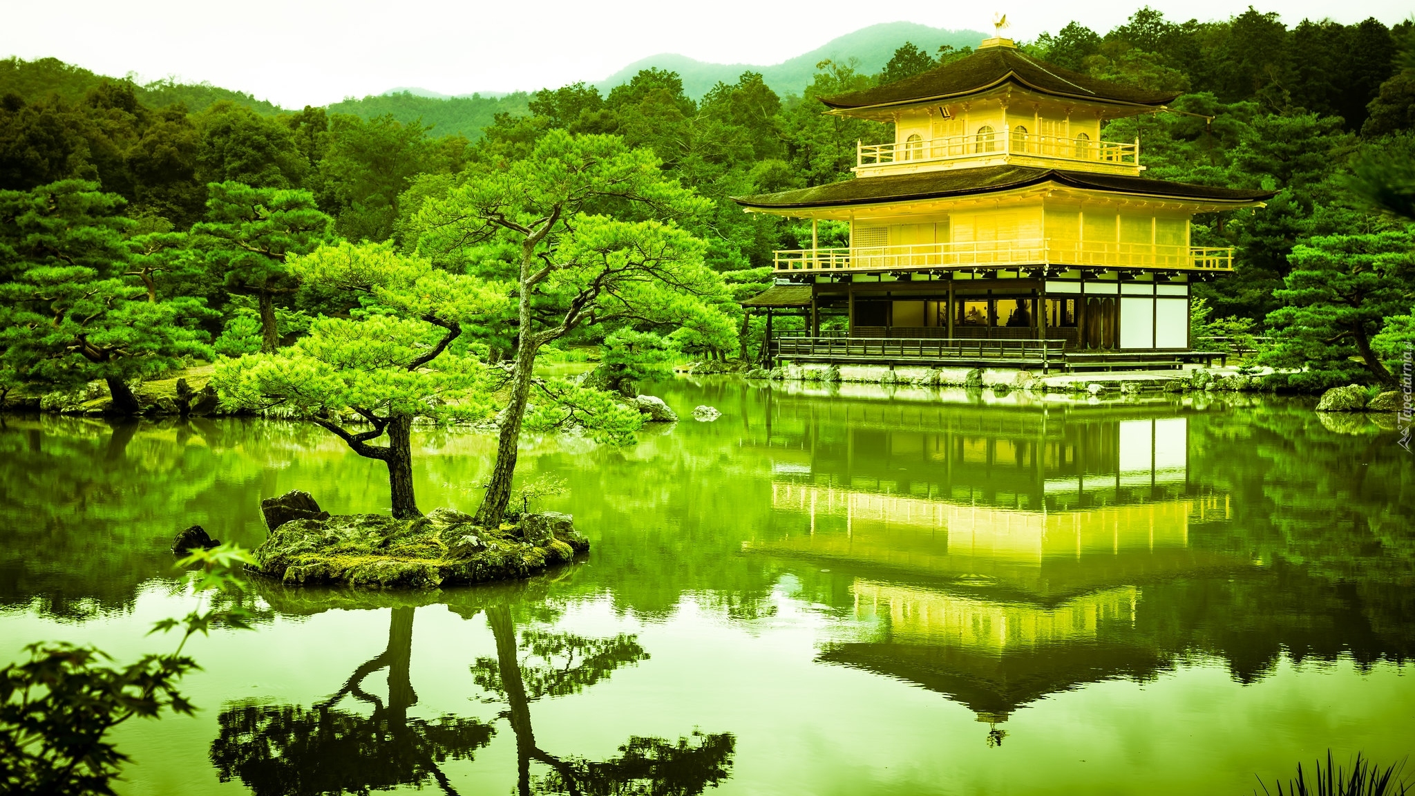 Park, Staw, Drzewa, Świątynia Kinkaku-ji, Złoty Pawilon, Kioto, Japonia