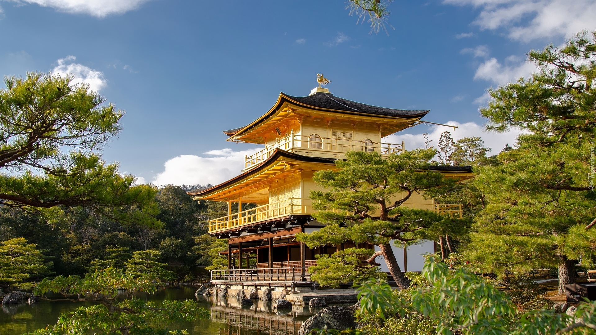Świątynia Kinkaku-ji, Rokuon-ji, Złoty Pawilon, Drzewa, Staw Kyko chi, Kioto, Japonia