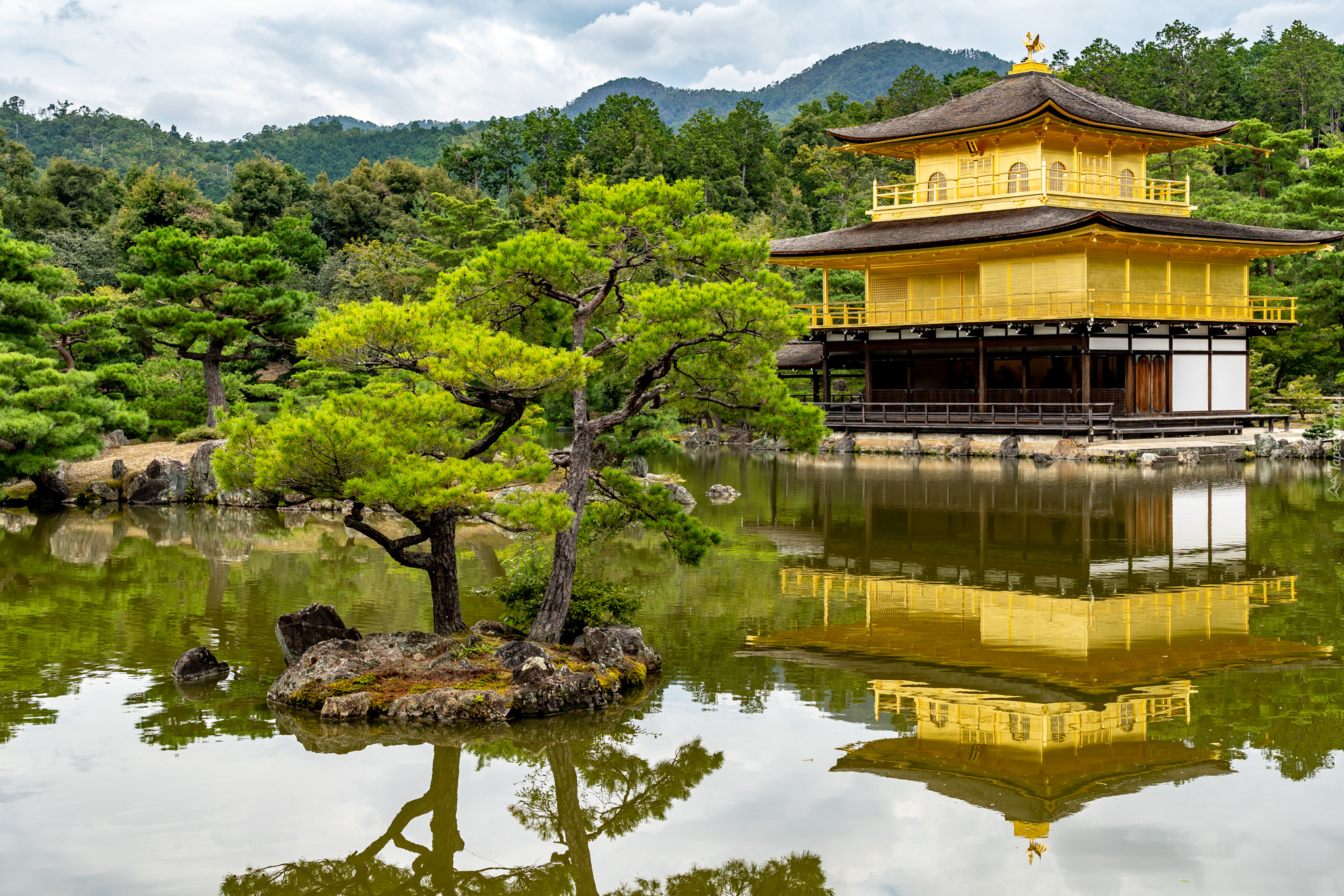 Świątynia Kinkaku-ji, Rokuon-ji, Złoty Pawilon, Staw Kyko chi, Drzewa, Kioto, Japonia