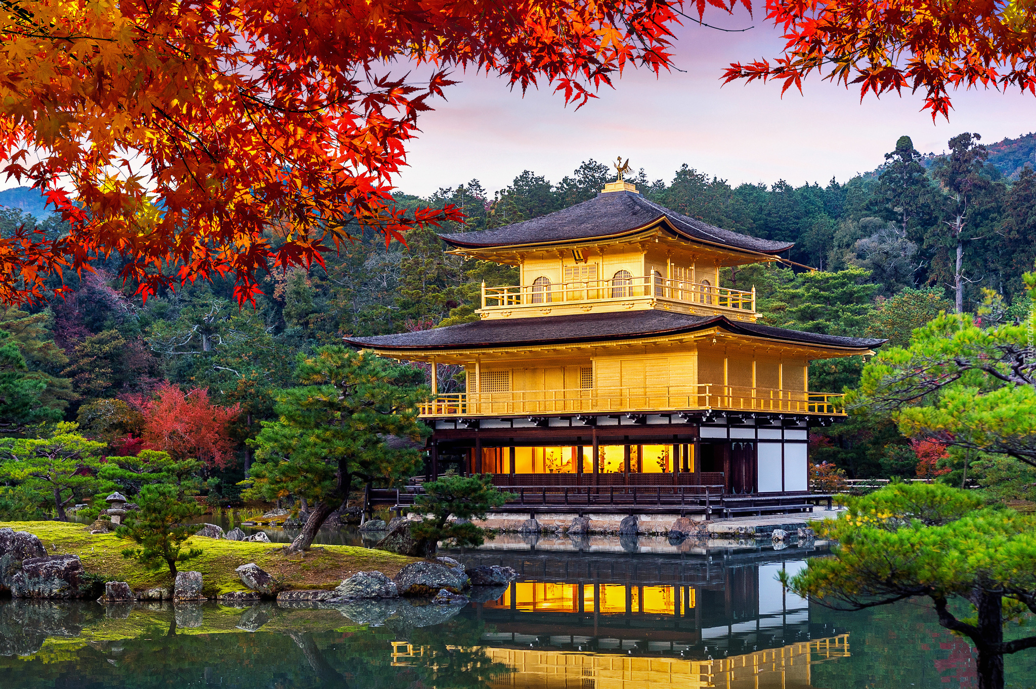 Świątynia Kinkakuji, Złoty Pawilon, Staw Kyko chi, Liście, Drzewa, Kioto, Japonia