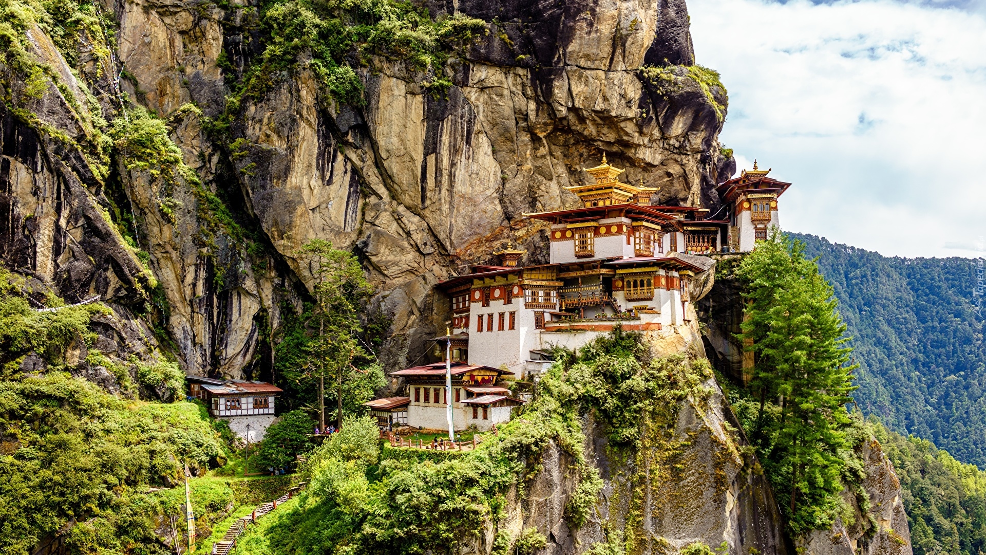 Świątynia, Paro Taktsang, Góry, Skały, Drzewa, Bhutan