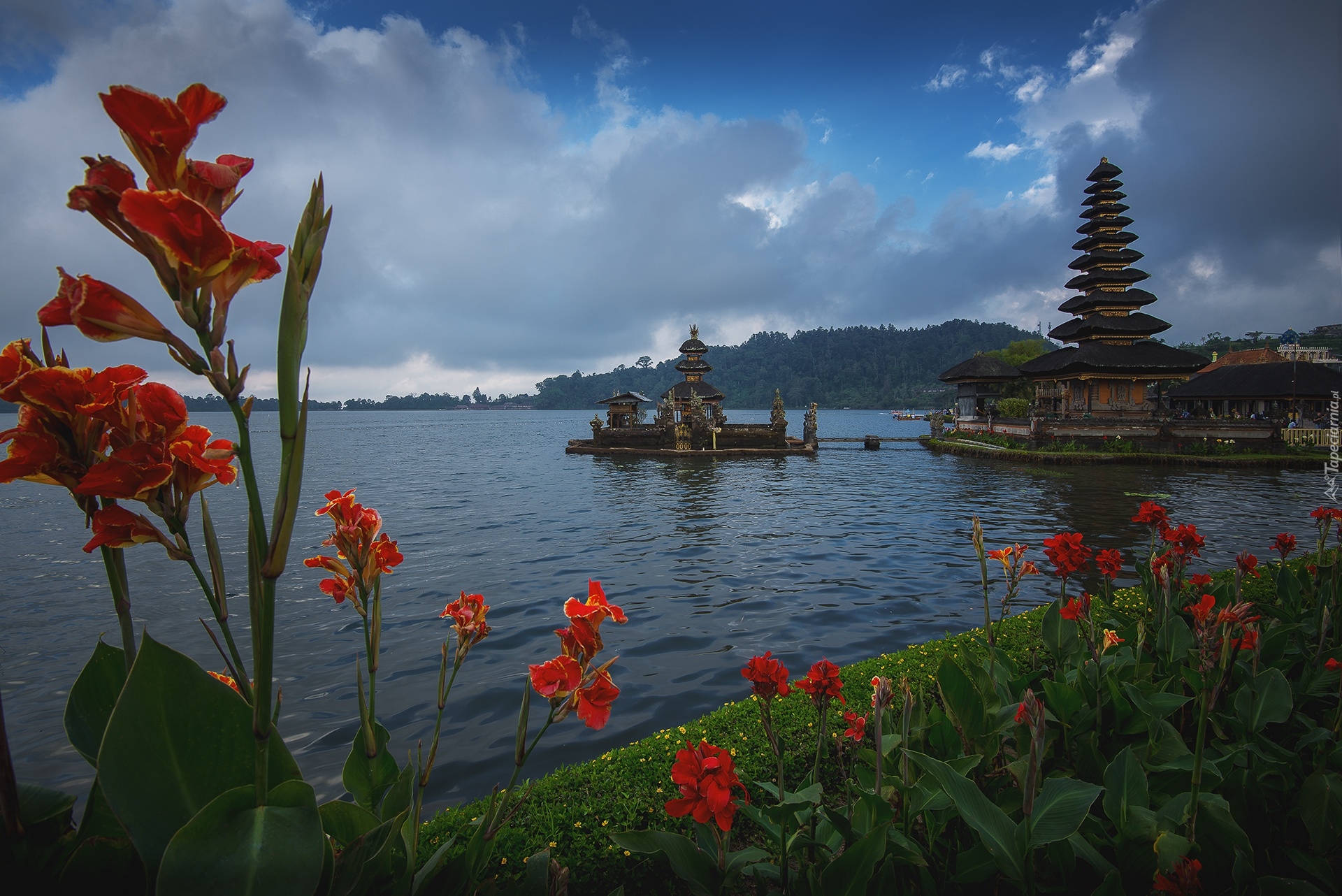 Świątynia, Pura Ulun Danu Beratan, Jezioro Bratan, Czerwone, Kwiaty, Wyspa Bali, Indonezja