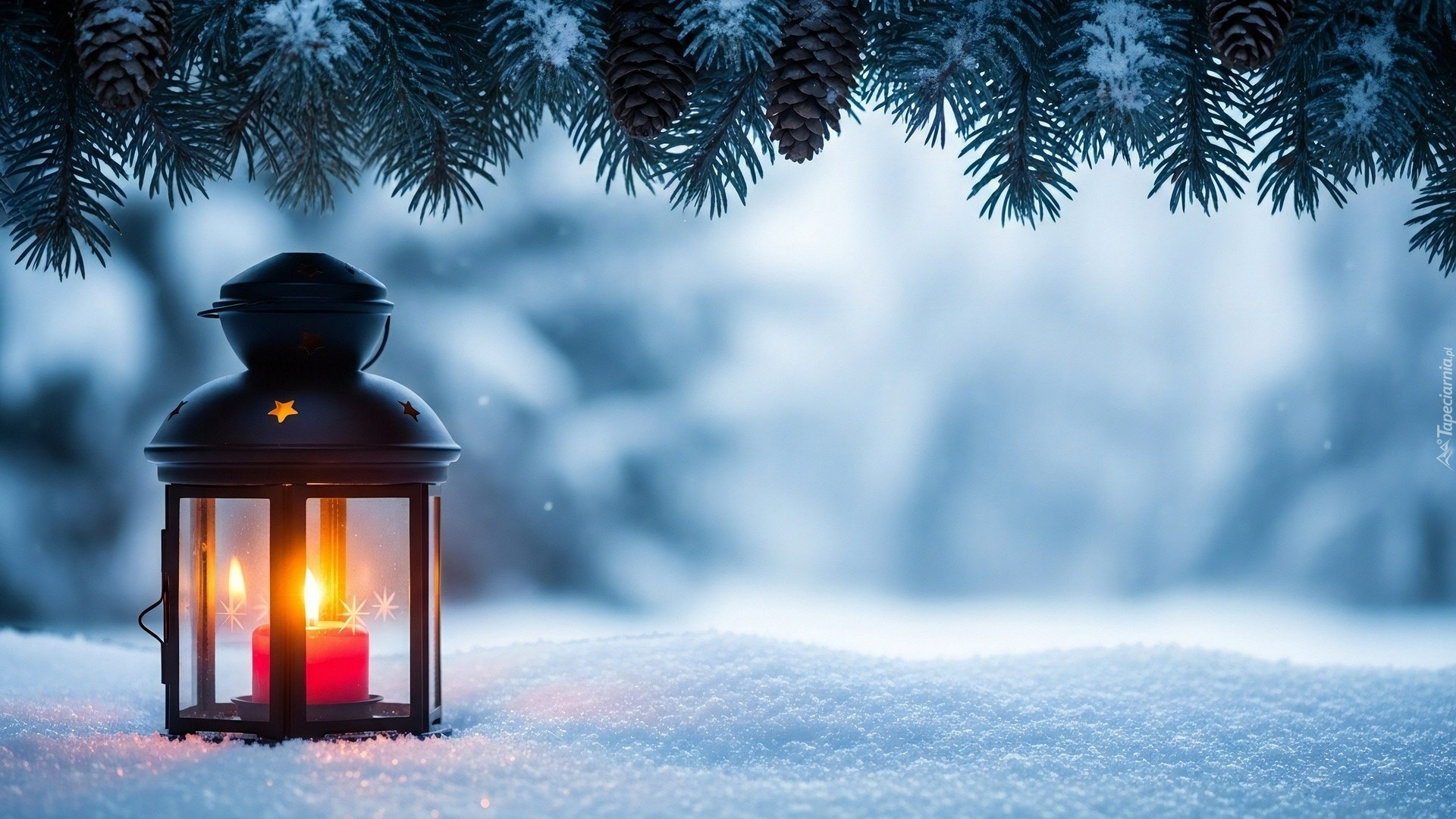 Zima, Świecący, Lampion, Śnieg, Gałązki, Szyszki