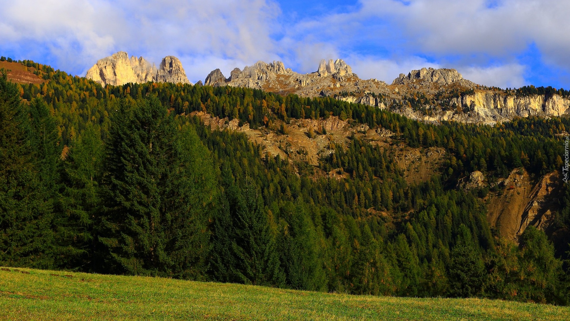 Góry, Skały, Drzewa, Świerki, Zielony, Las