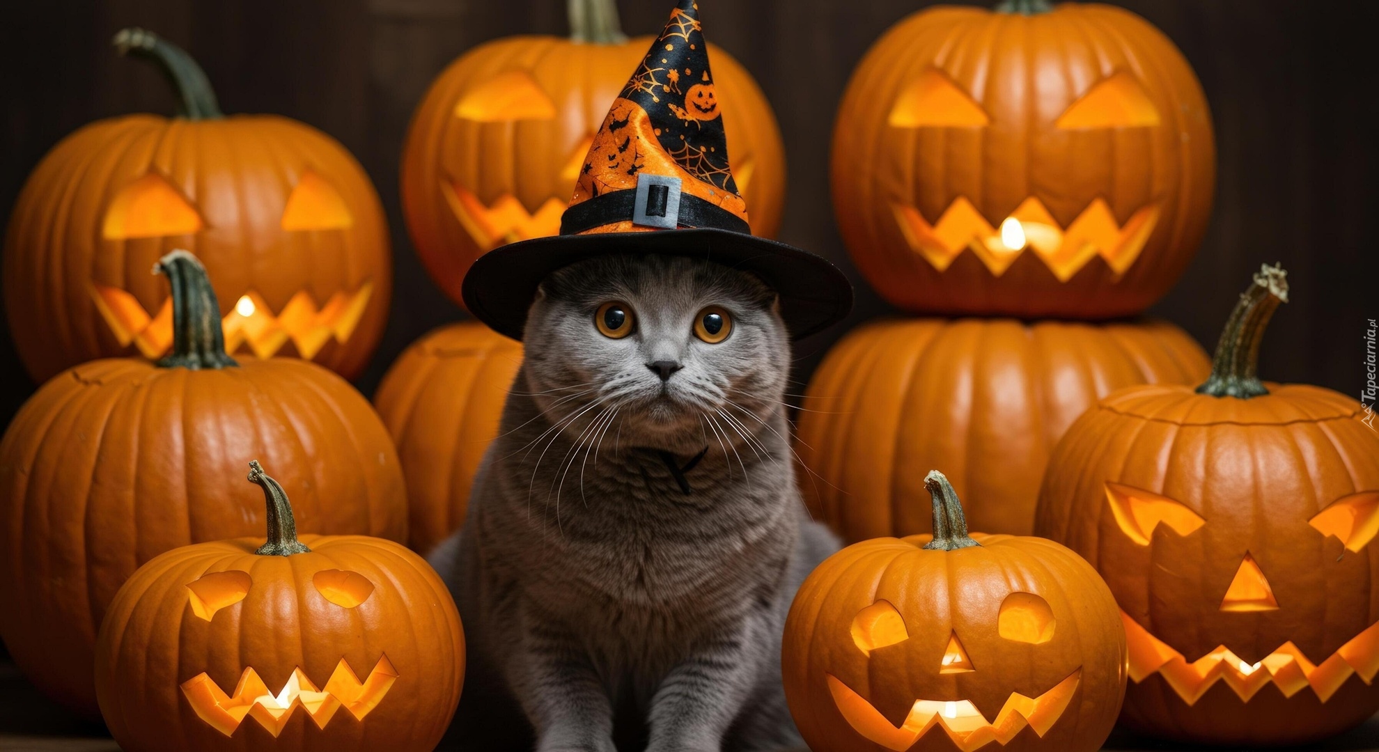 Halloween, Kot, Kapelusz, Dynie, Grafika AI