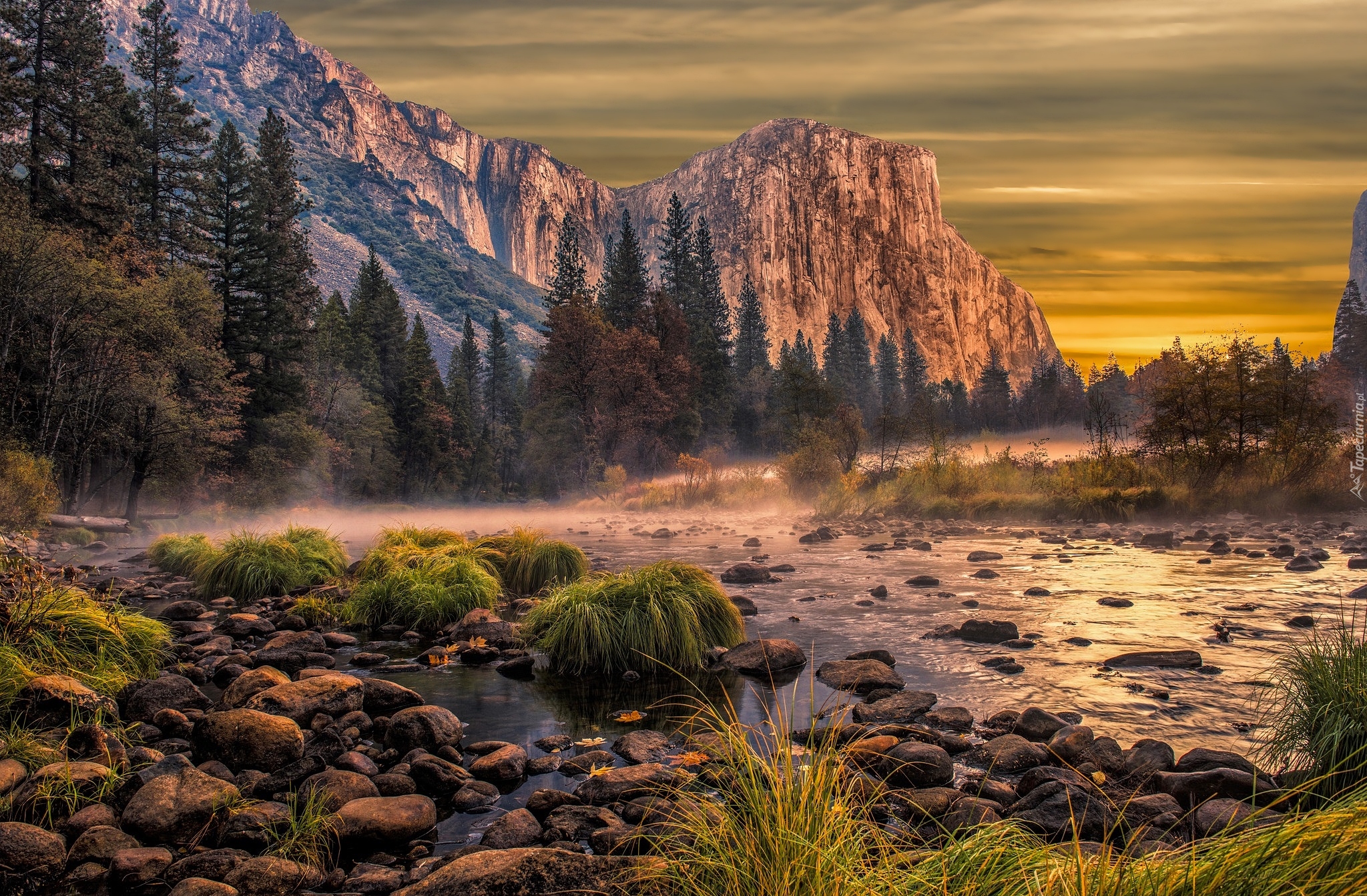 Góry, Szczyt El Capitan, Rzeka Merced, Kamienie, Rośliny, Drzewa, Mgła, Park Narodowy Yosemite, Kalifornia, Stany Zjednoczone