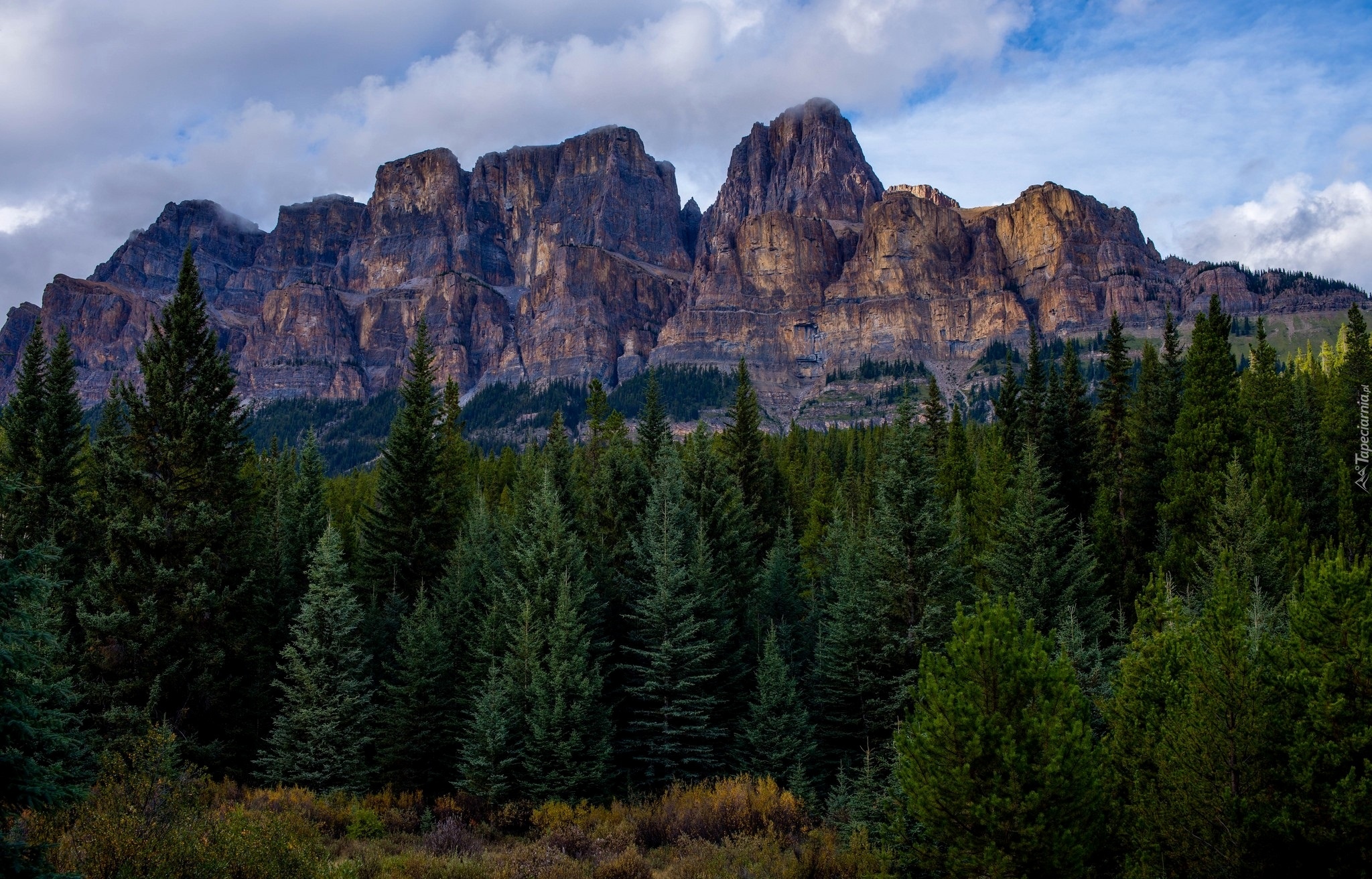 Kanada, Park Narodowy Banff, Góry, Góra Castle Mountain, Las, Drzewa