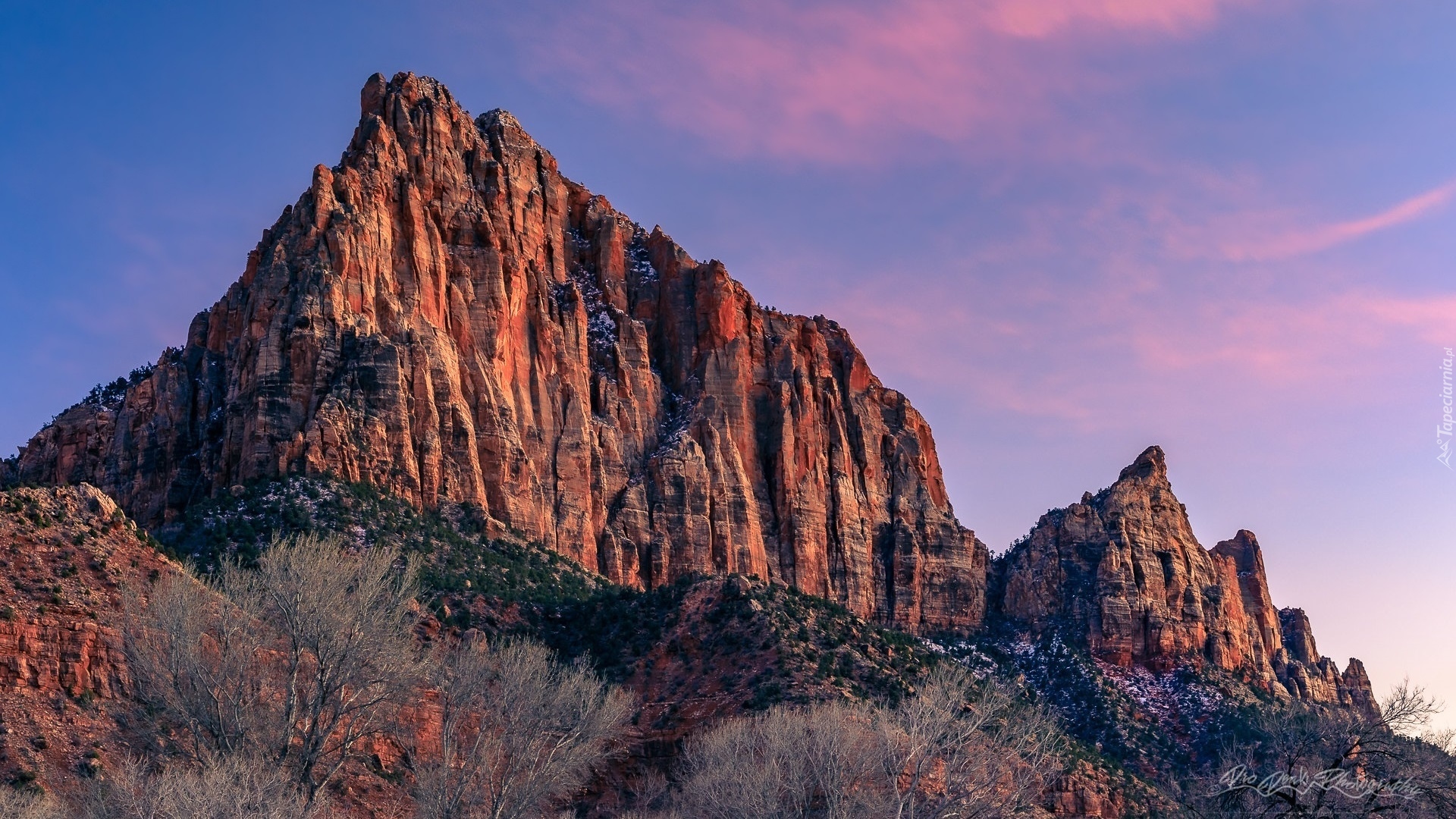 Góry, Góra Watchman, Skały, Krzewy, Park Narodowy Zion, Stan Utah, Stany Zjednoczone