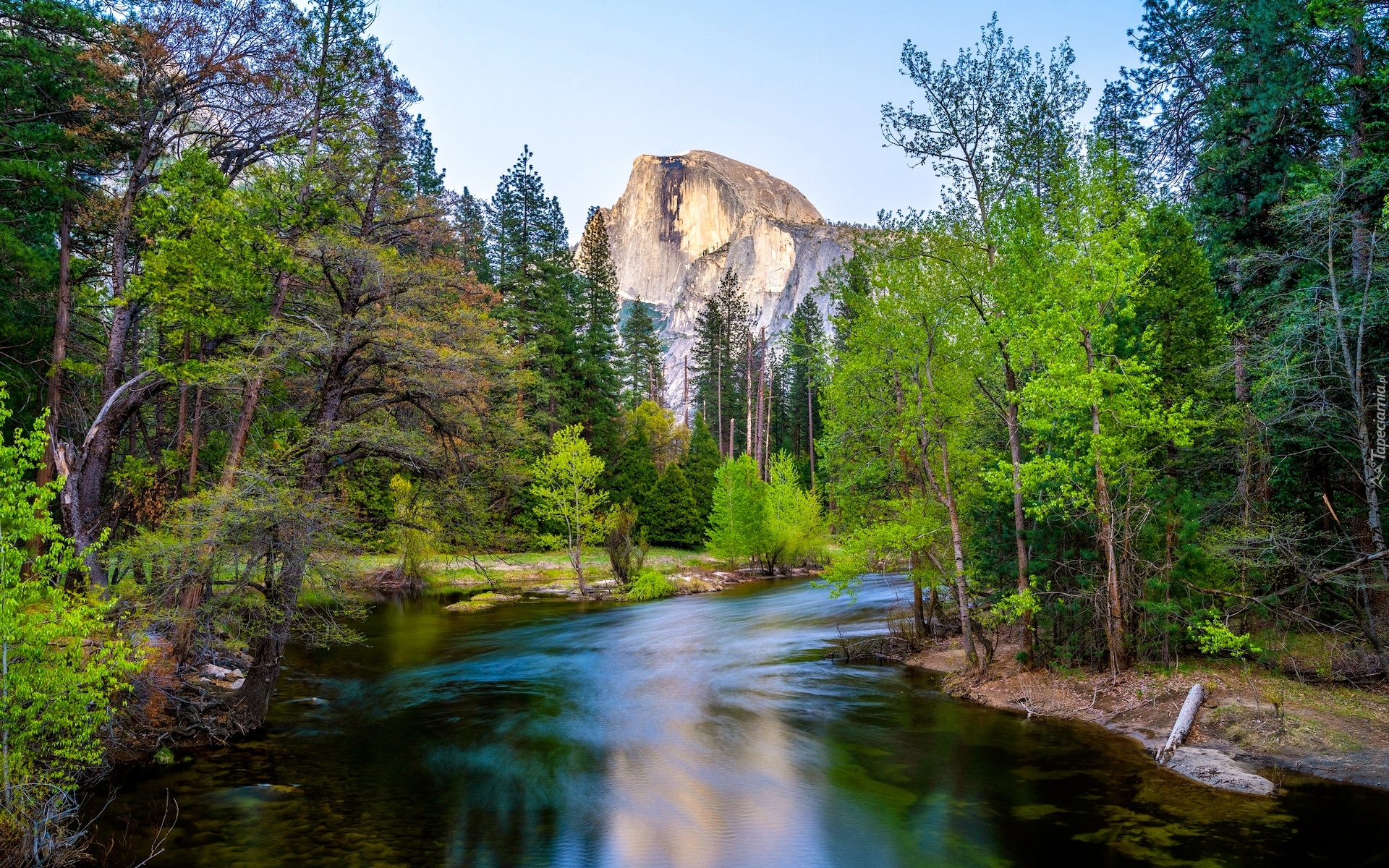 Stany Zjednocznone, Kalifornia, Park Narodowy Yosemite, Góry, Szczyt Half Dome, Rzeka, Merced River, Drzewa, Wiosna