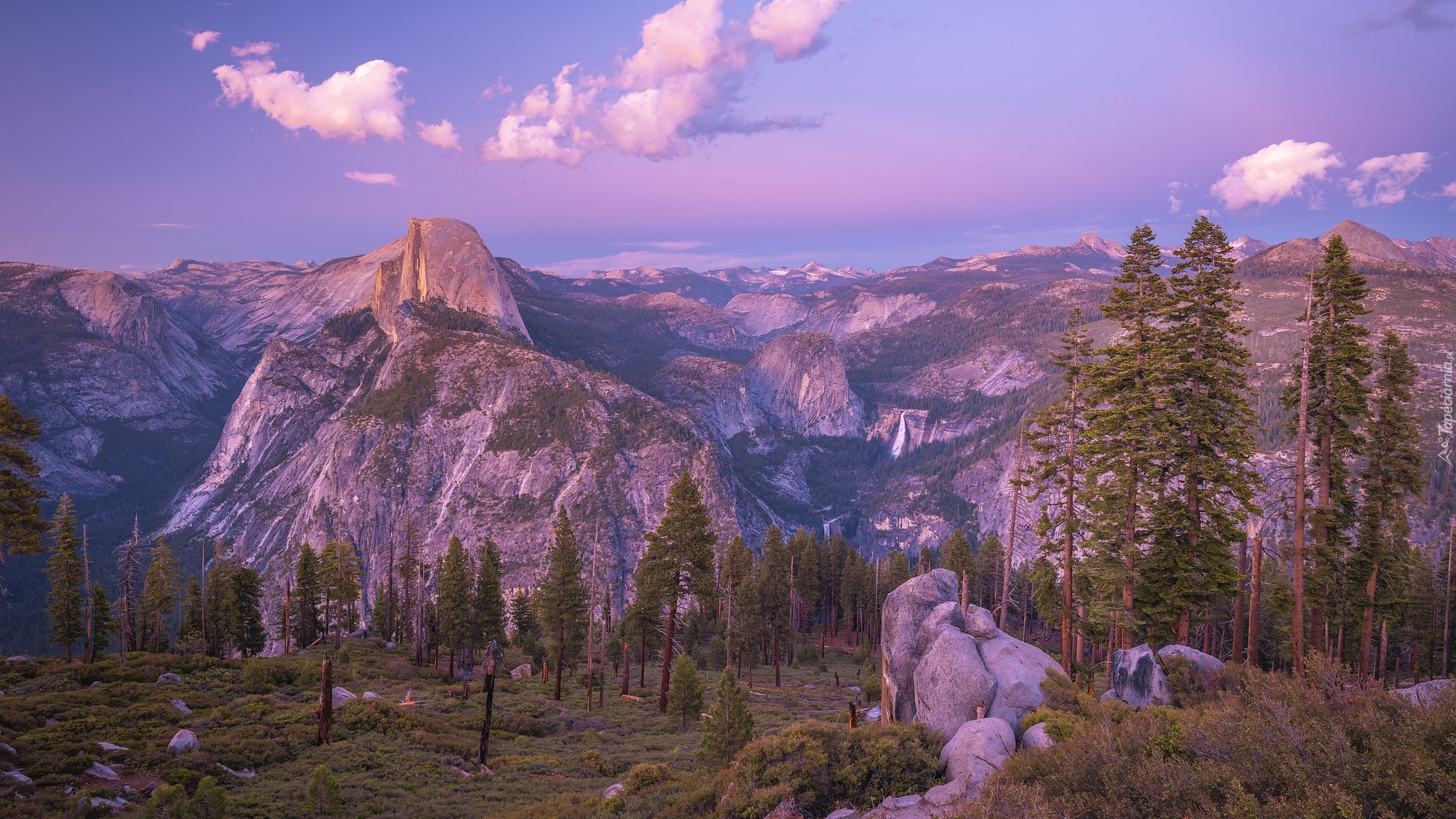 Stany Zjednoczone, Kalifornia, Park Narodowy Yosemite, Drzewa, Góry, Szczyt, Half Dome