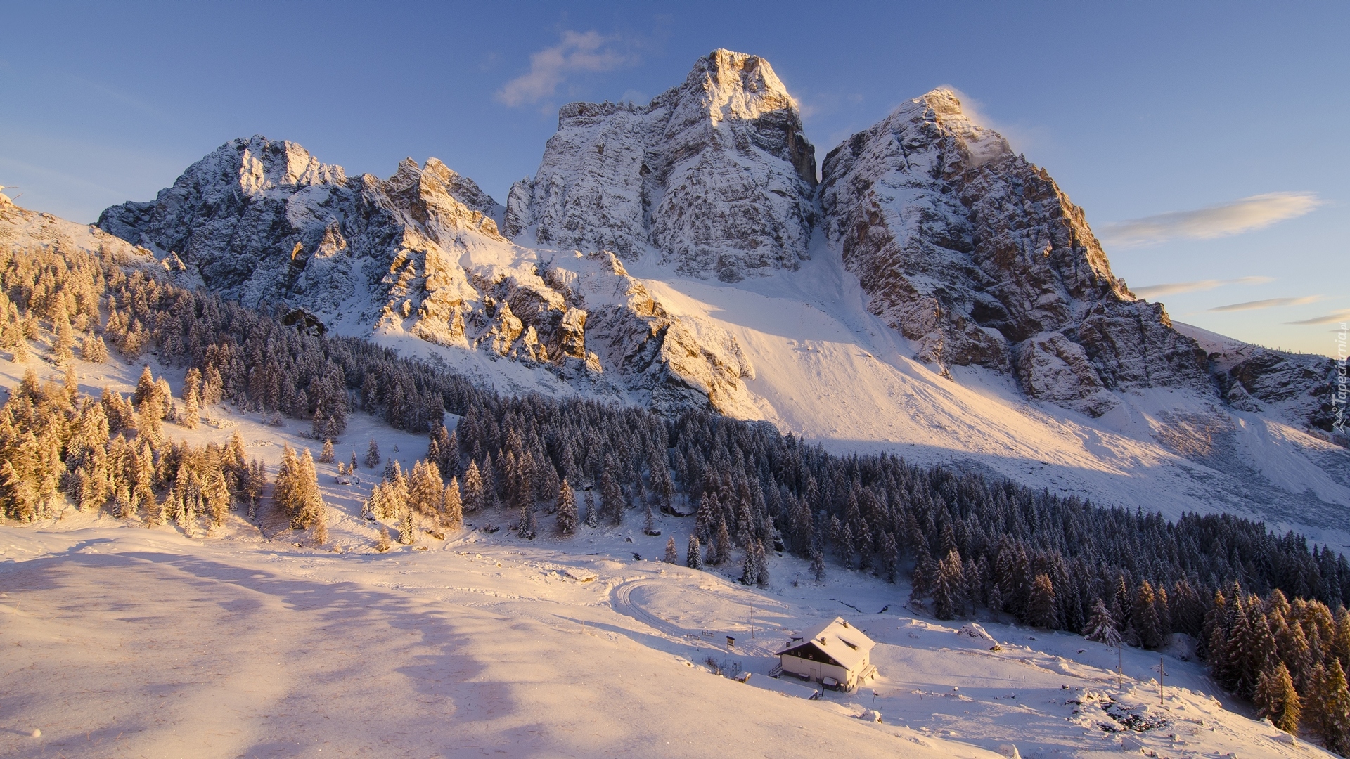 Włochy, Góry Dolomity, Szczyt Monte Pelmo, Zima, Las, Dom