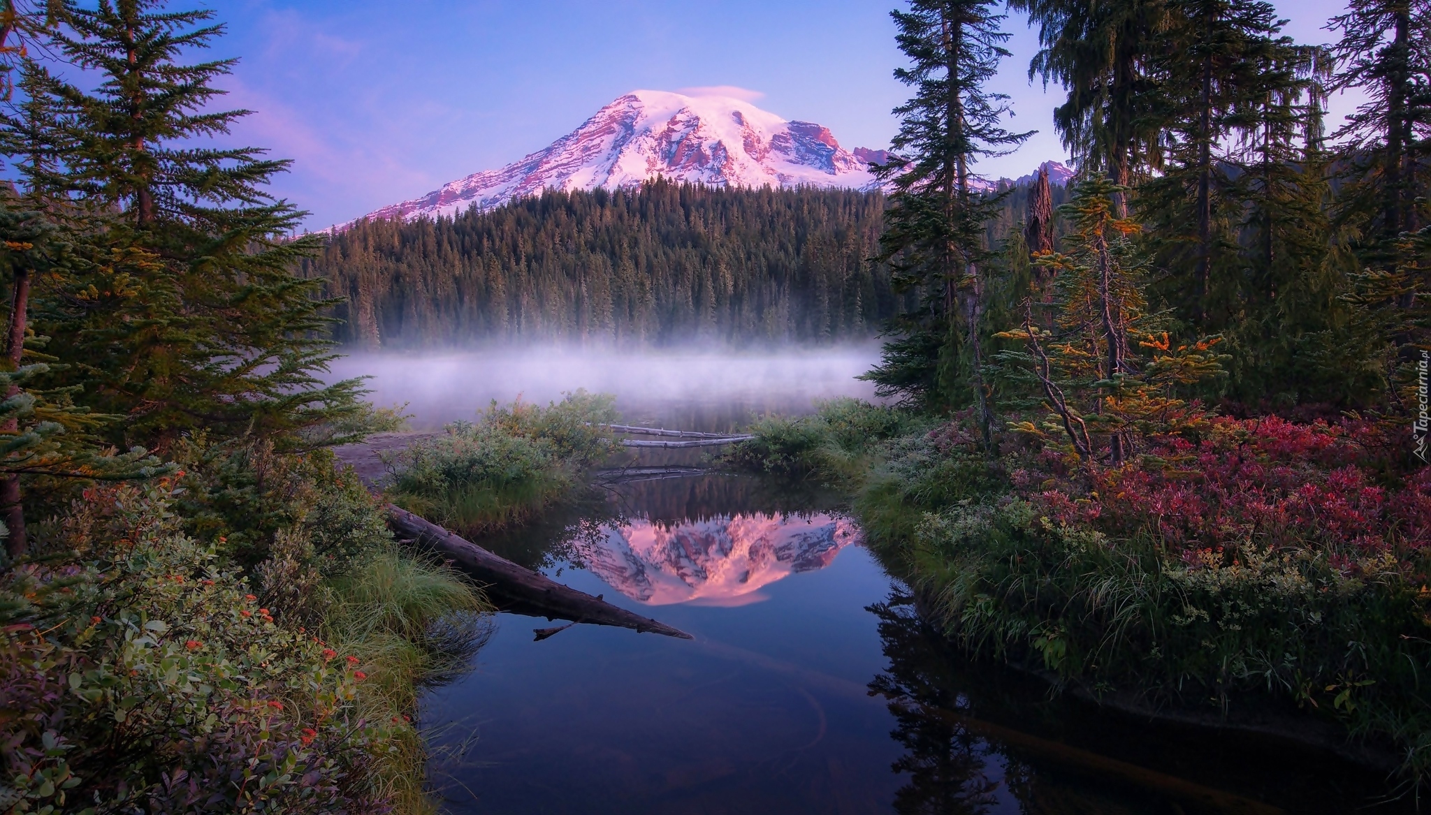 Stany Zjednoczone, Stan Waszyngton, Park Narodowy Mount Rainier, Jezioro Reflection Lakes, Szczyt Mount Rainier, Góra, Las, Drzewa, Mgła