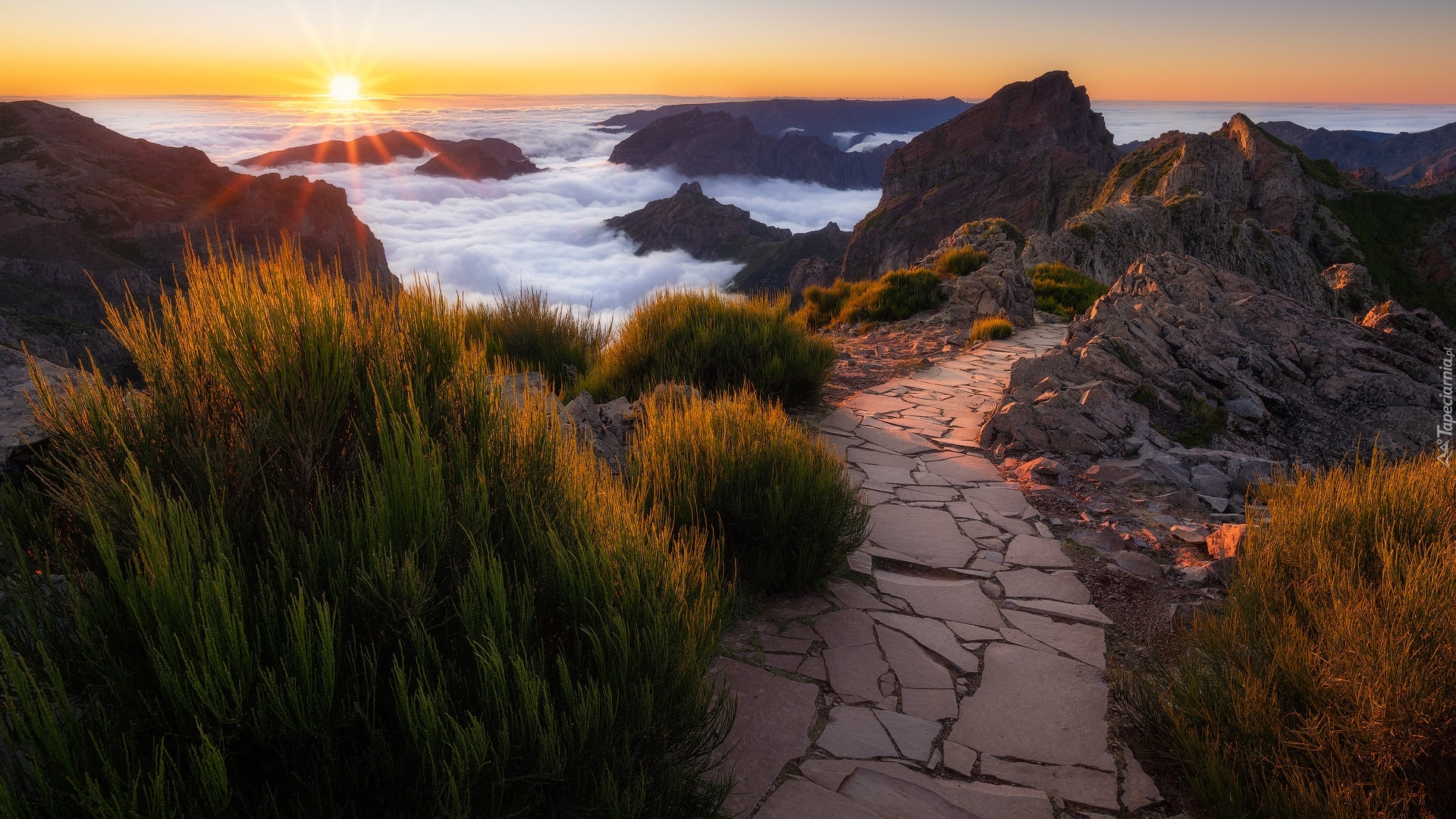 Portugalia, Madera, Góra, Pico do Arieiro, Zachód słońca, Mgła, Kamienna, Ścieżka, Rośliny