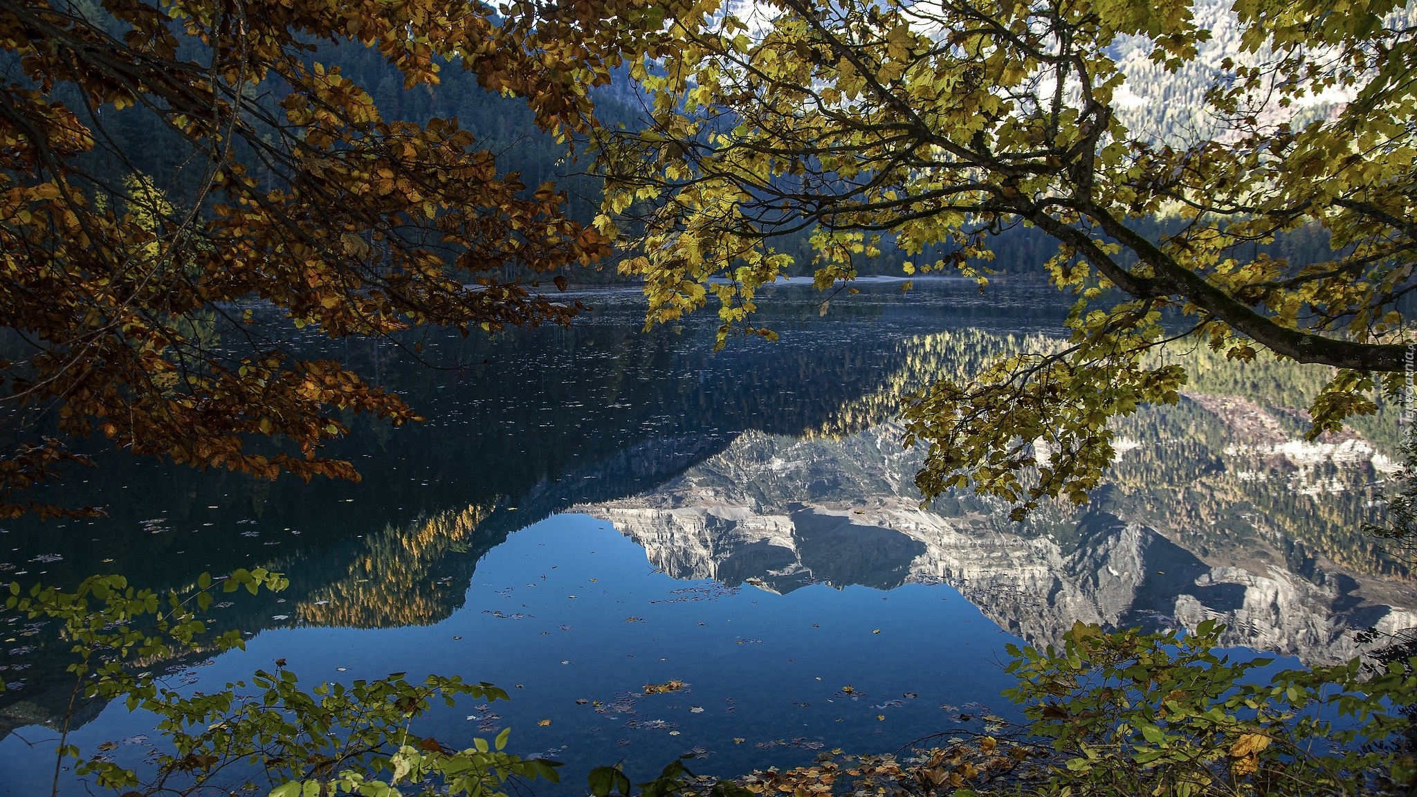 Góry, Jezioro, Gałęzie, Drzewa, Odbicie