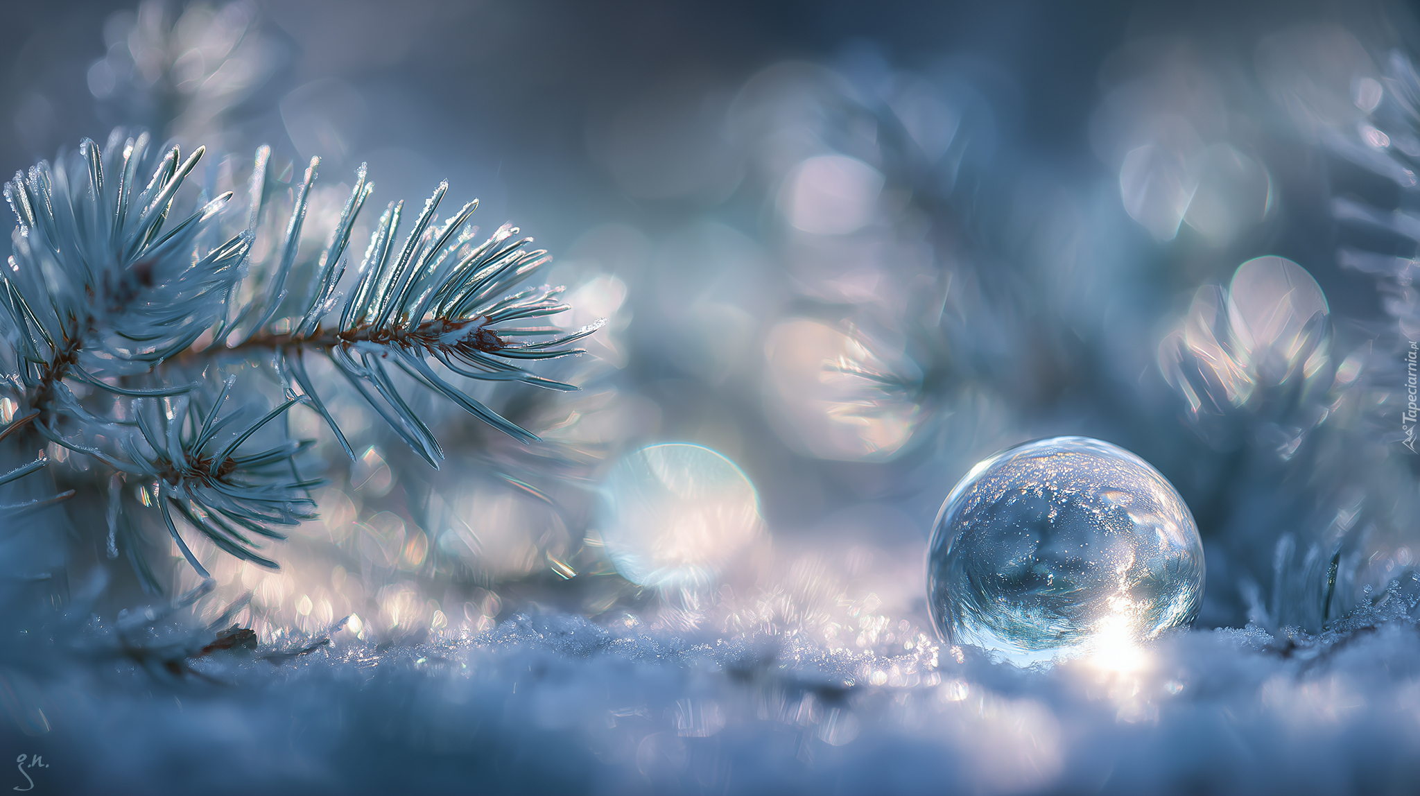 Szklana, Kulka, Śnieg, Gałązka, Iglak, Zima, Grafika AI