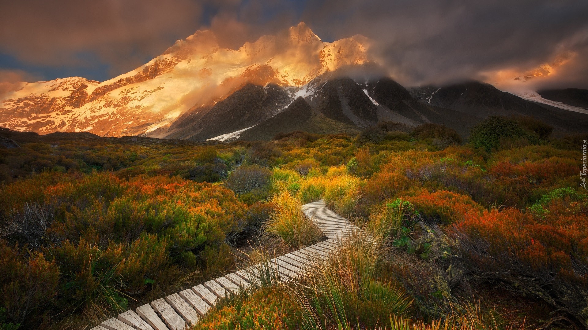 Nowa Zelandia, Park Narodowy Góry Cooka, Szlak Hooker Valley, Góry, Góra Cooka, Roślinność, Dróżka