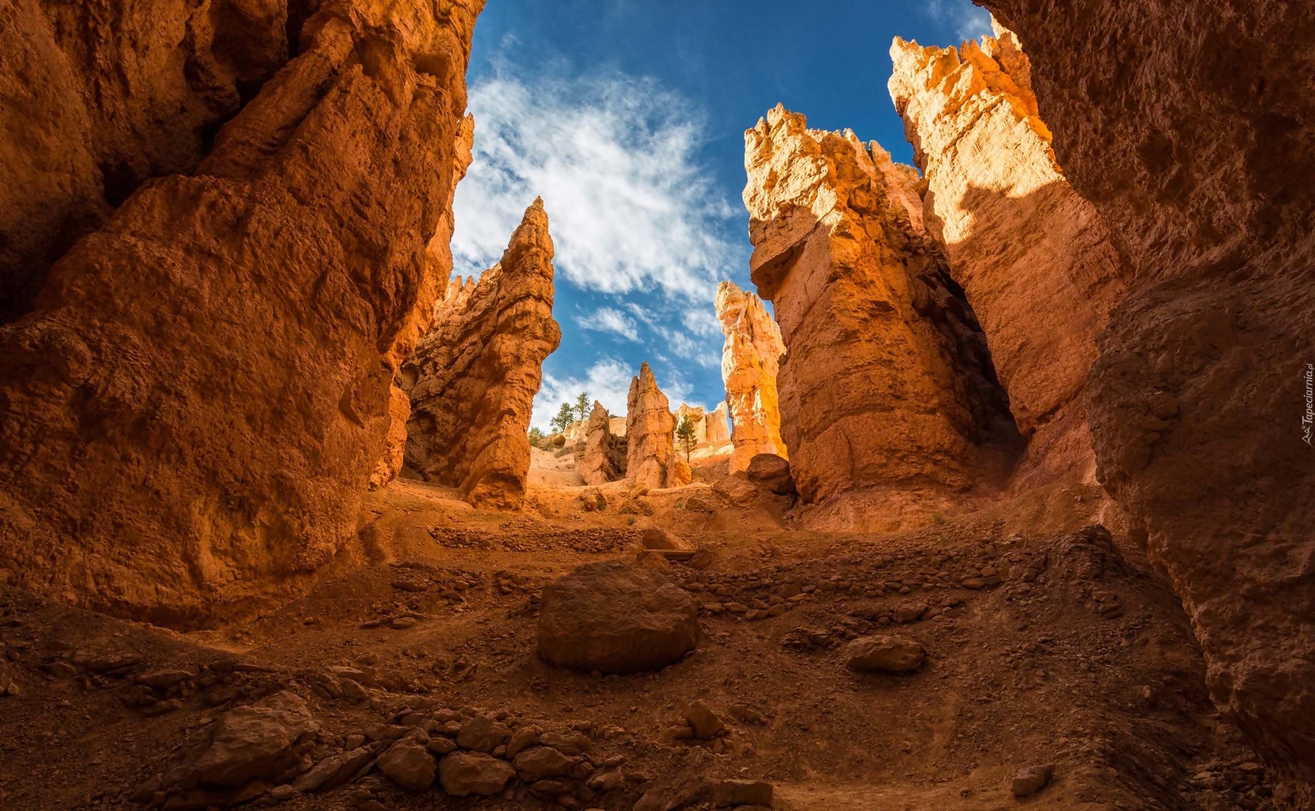 Stany Zjednoczone, Stan Utah, Park Narodowy Bryce Canyon, Kanion, Skały, Szlak Navajo Loop, Navajo Loop Trail