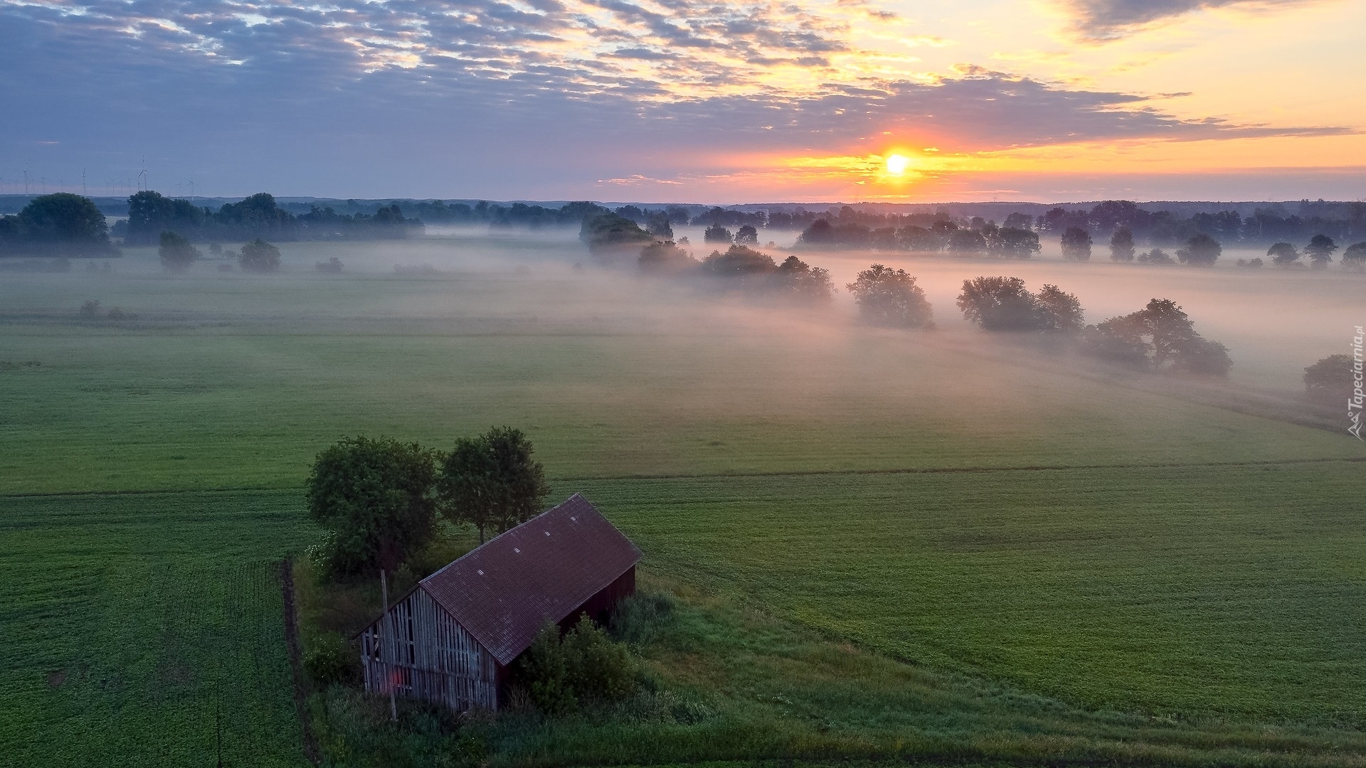 Wschód słońca, Łąka, Pola, Mgła, Drzewa, Szopa