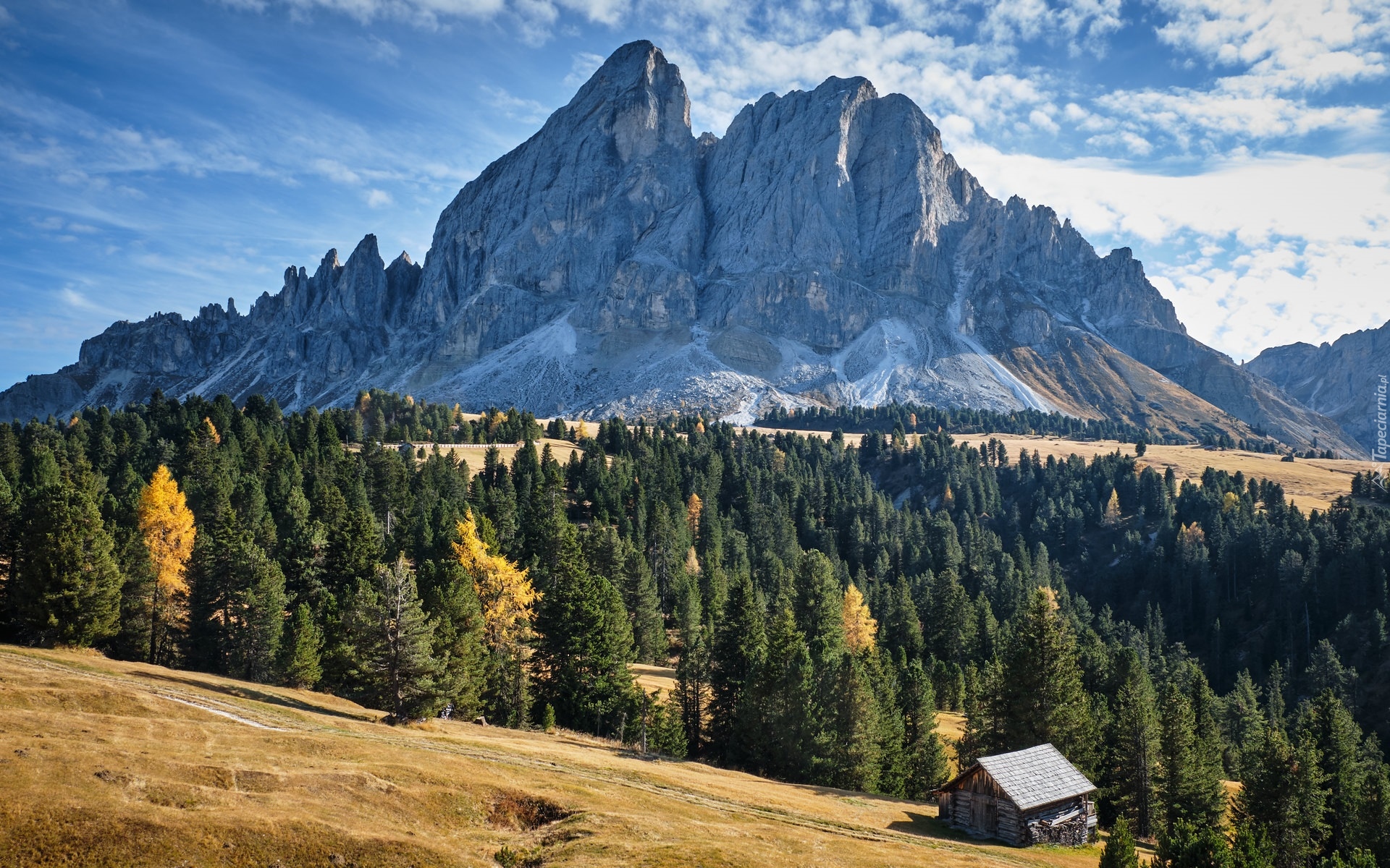 Góry, Góra Peitlerkofel, Dolomity, Drzewa, Drewniana, Szopa, Włochy