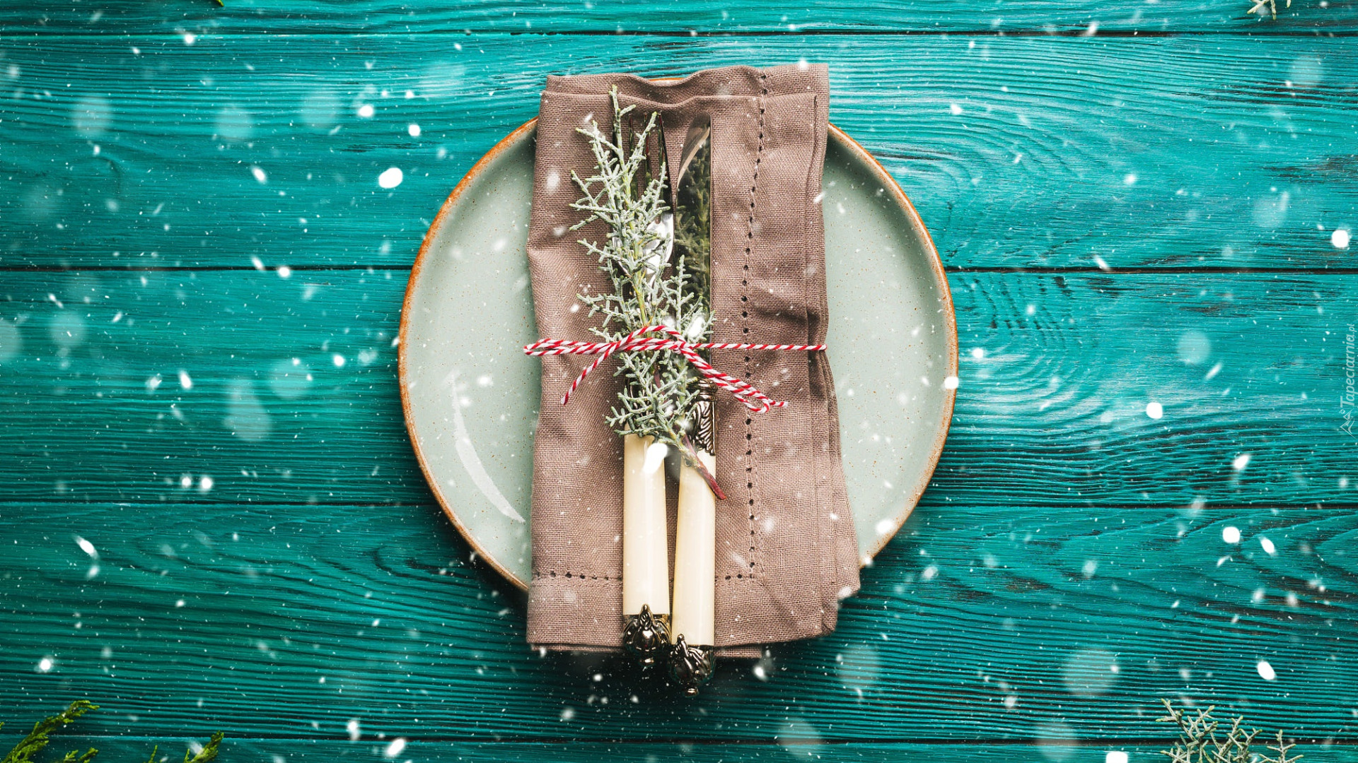 Nóż, Widelec, Gałązki, Sztućce, Talerz