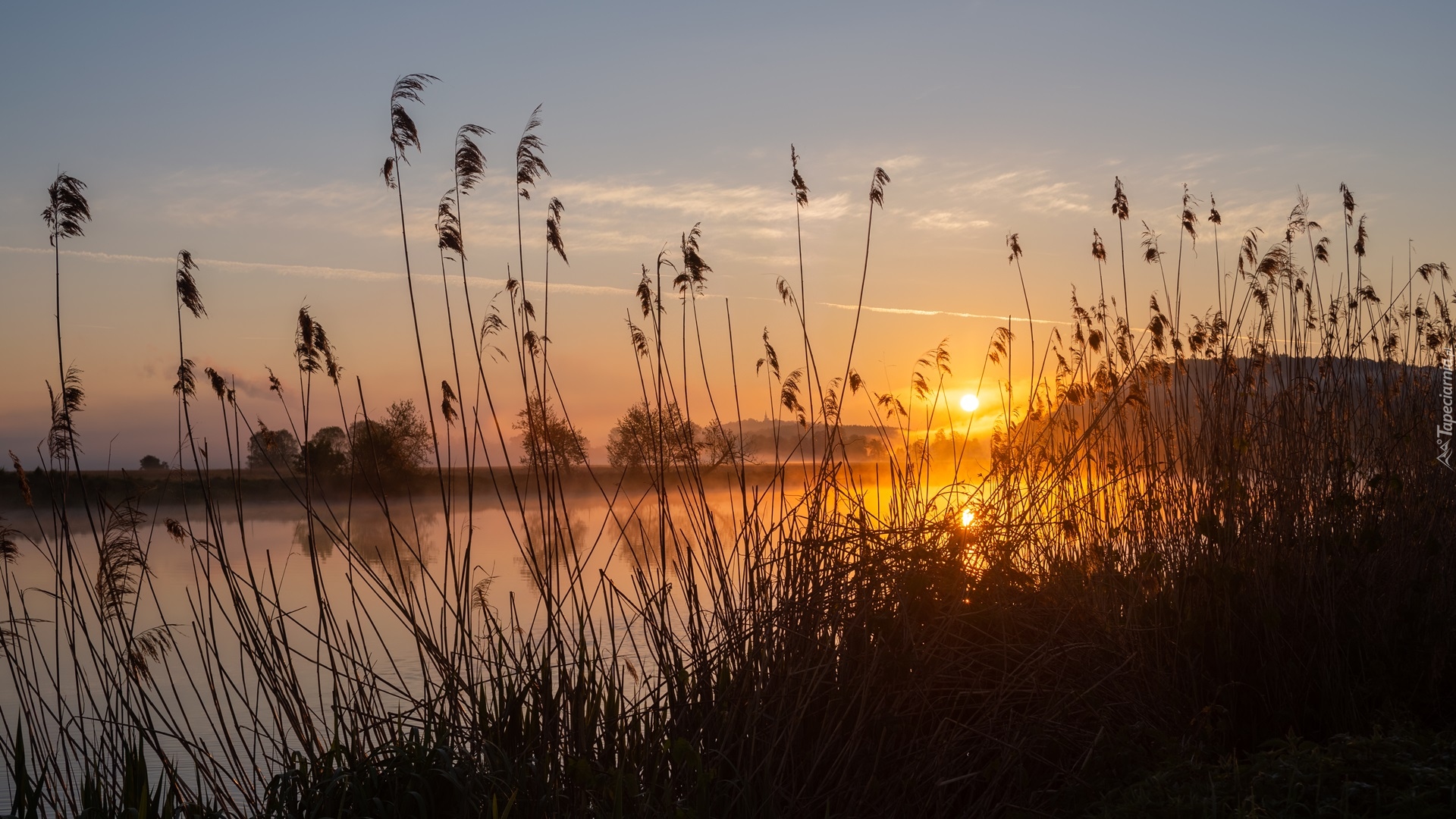 Jezioro, Trawa, Szuwary, Zachód słońca