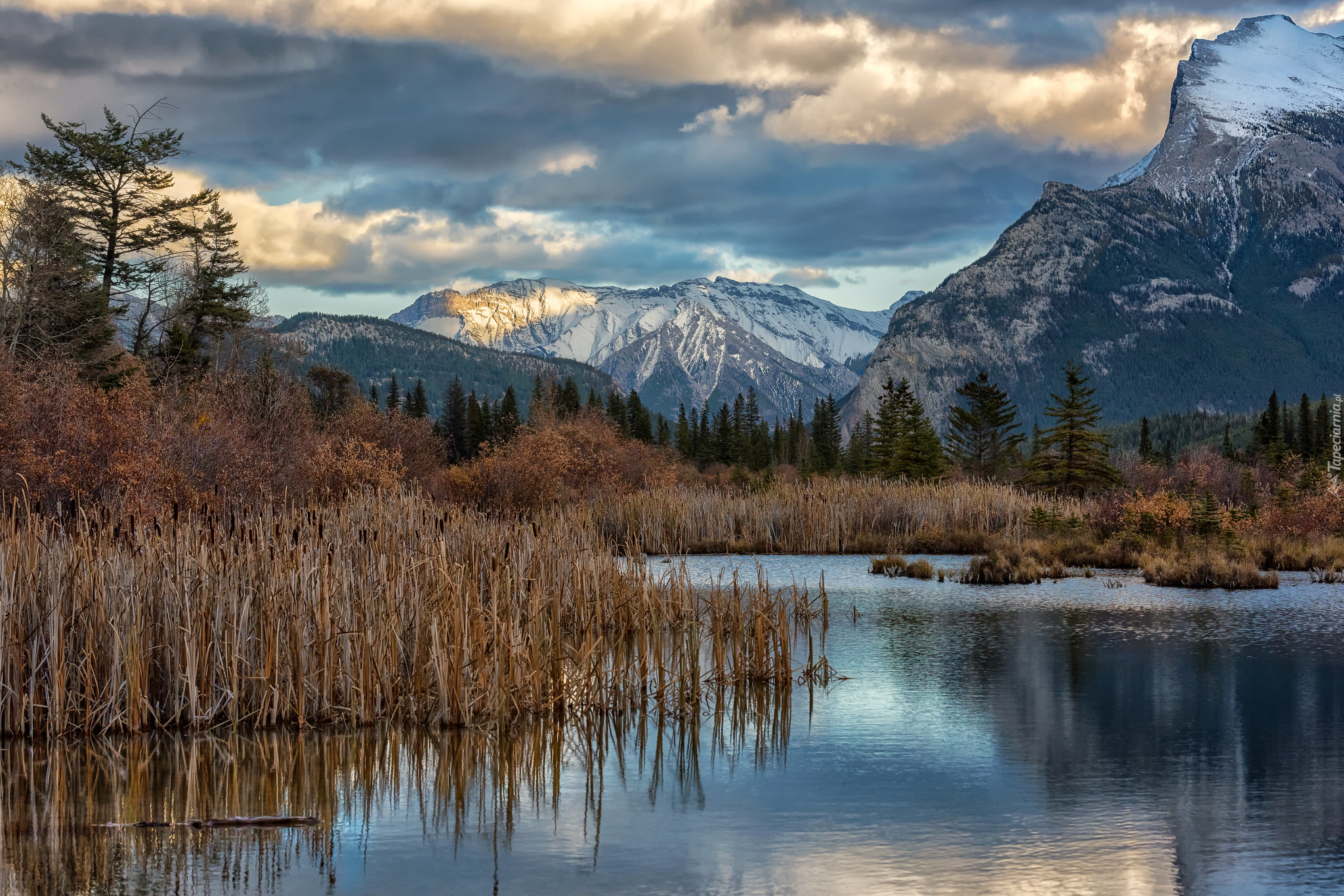 Jesień, Jezioro, Vermilion Lake, Szuwary, Drzewa, Góry, Park Narodowy Banff, Kanada