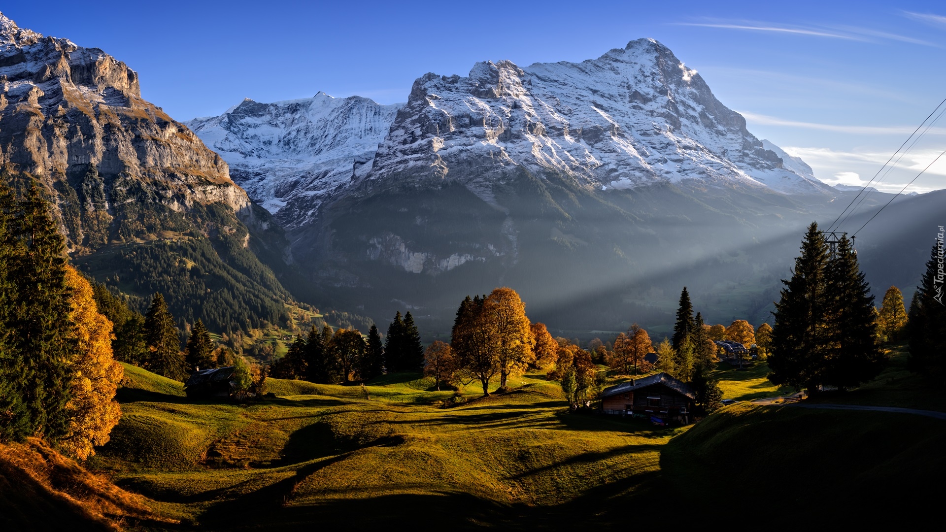 Szwajcaria, Kanton Berno, Wieś Grindelwald, Góry, Alpy Berneńskie, Drzewa, Domy