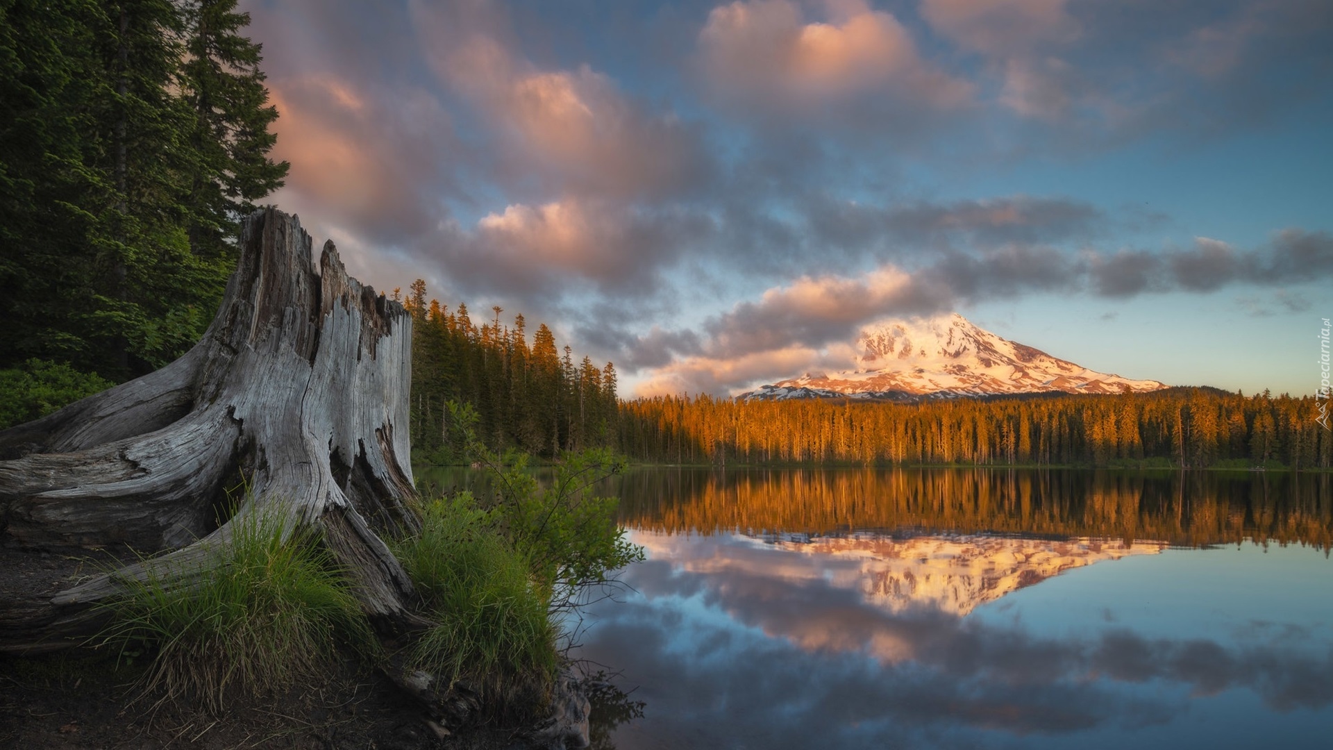 Stany Zjednoczone, Waszyngton, Góra, Stratowulkan, Mount Adams, Jezioro, Takhlakh Lake, Drzewa, Chmury