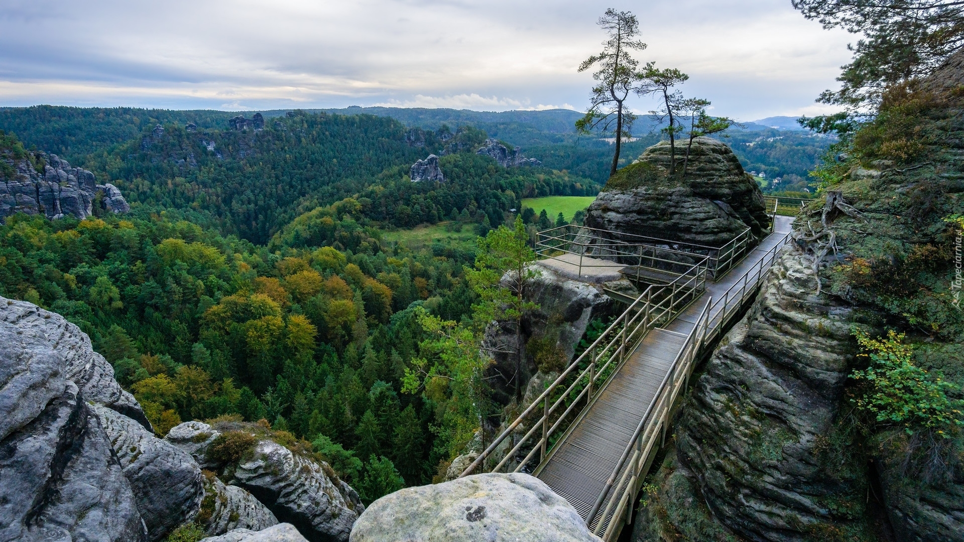 Góry Połabskie, Drzewa, Skały, Las, Taras widokowy, Pomost, Park Narodowy Saskiej Szwajcarii, Niemcy