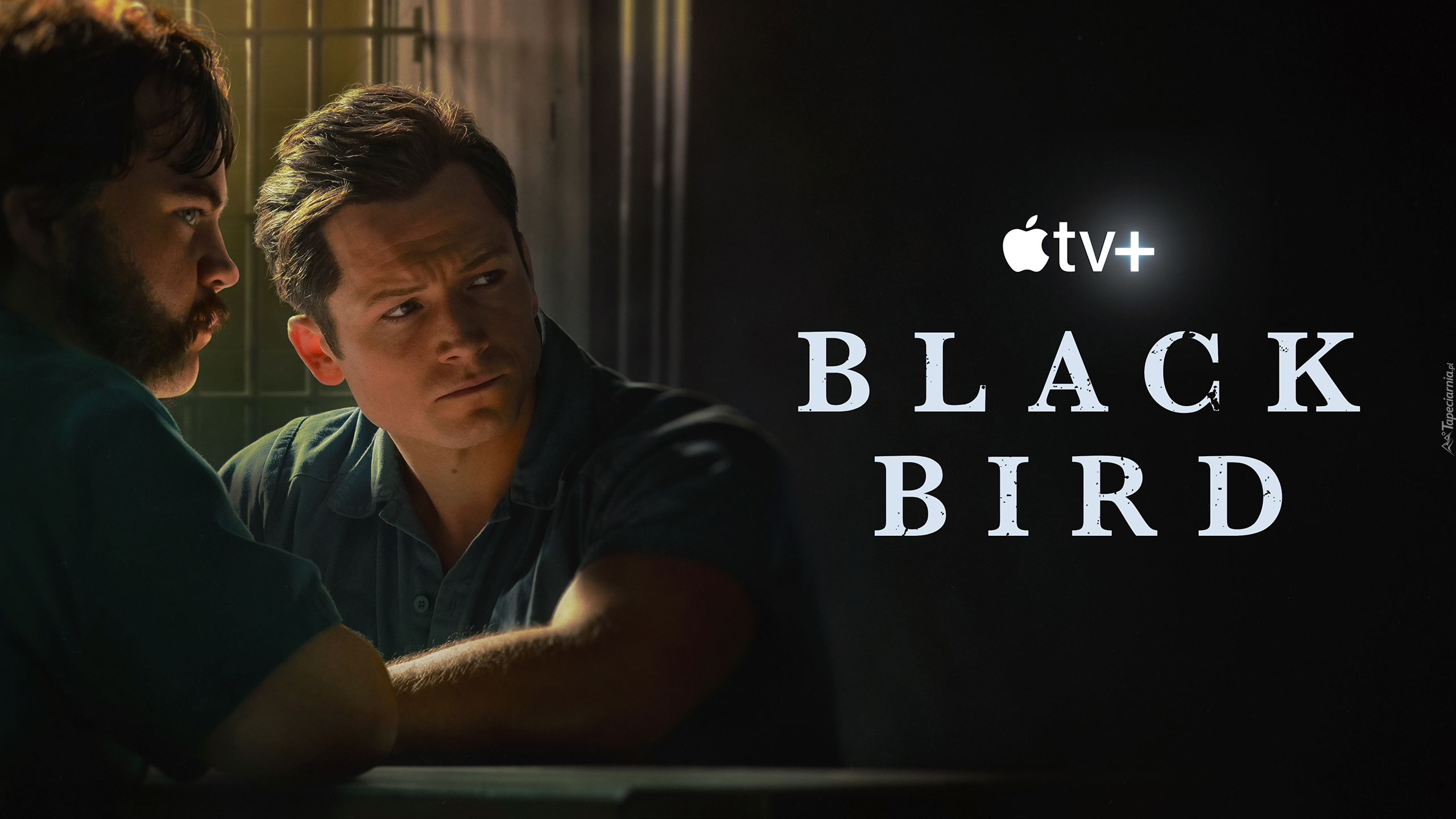 Filmowe, Seriale, Black Bird, Mężczyźni, Aktor, Taron Egerton, Postać, James Keene, Aktor, Paul Walter Hauser, Postać, Larry Hall, Plakat