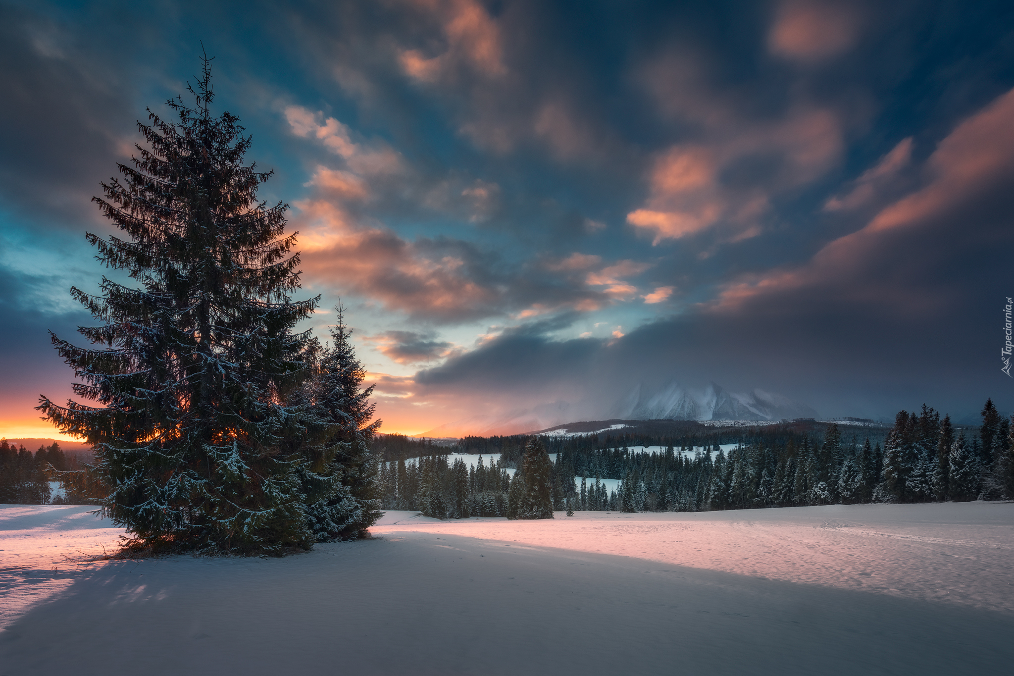 Słowacja, Góry Tatry Bielskie, Wschód Słońca, Zima, Drzewa, Śnieg