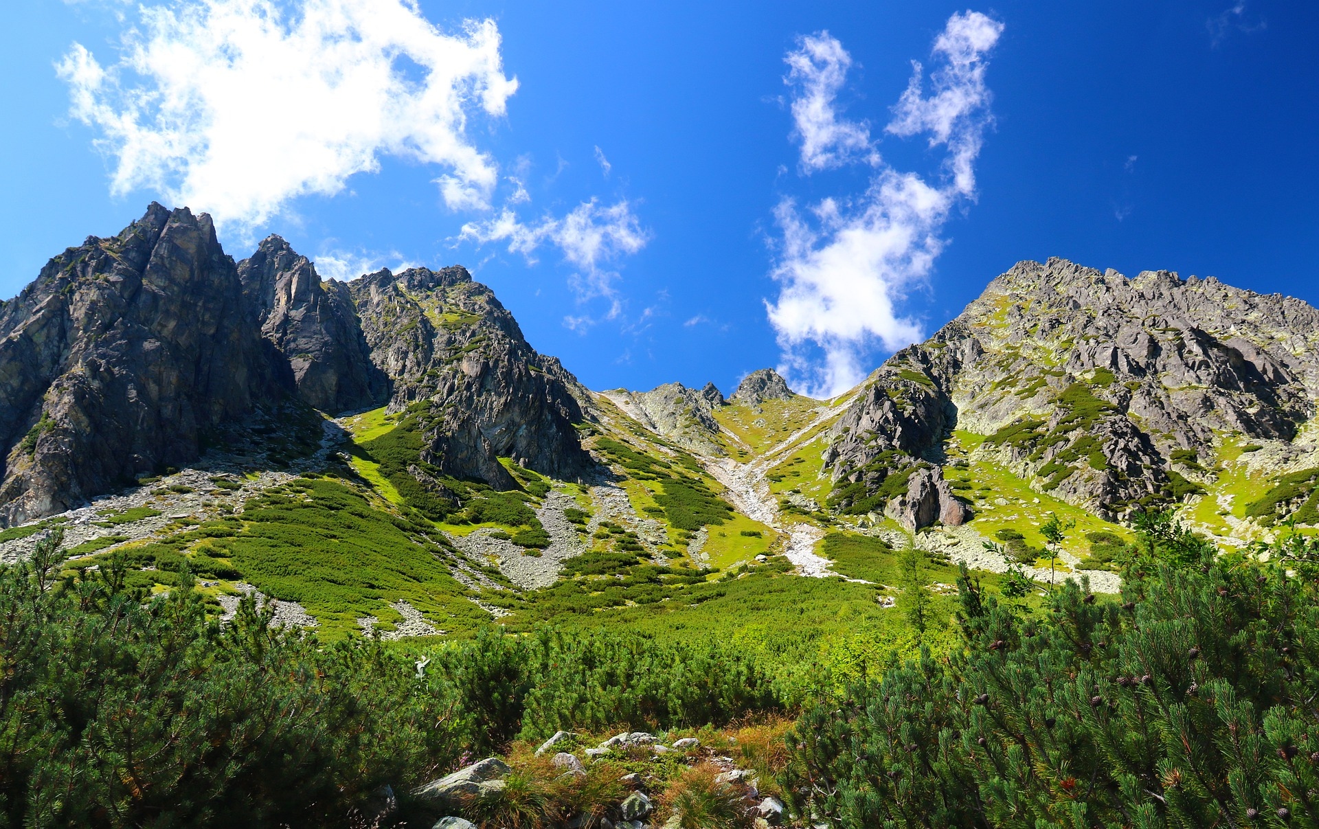 Góry, Tatry, Szczyty, Drzewa, Lasy, Słowacja