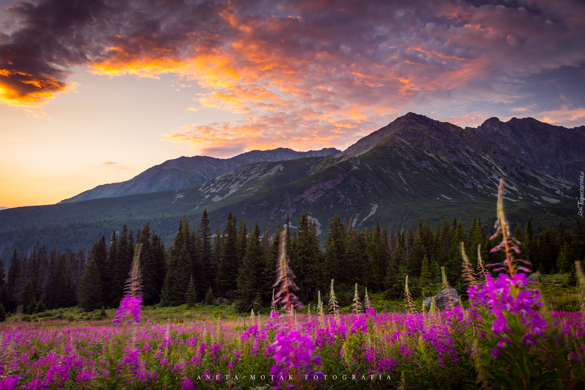 Zachód słońca, Góry, Tatry, Polska