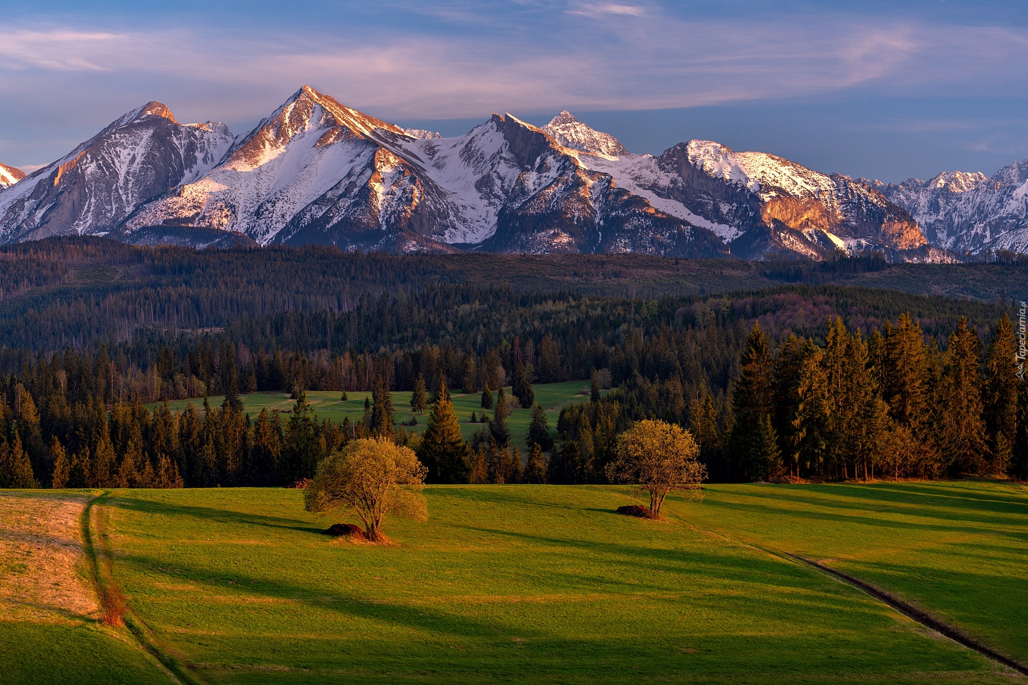 Góry, Ośnieżone, Tatry, Wieś Łapszanka, Lasy, Drzewa, Łąka, Powiat nowotarski, Polska